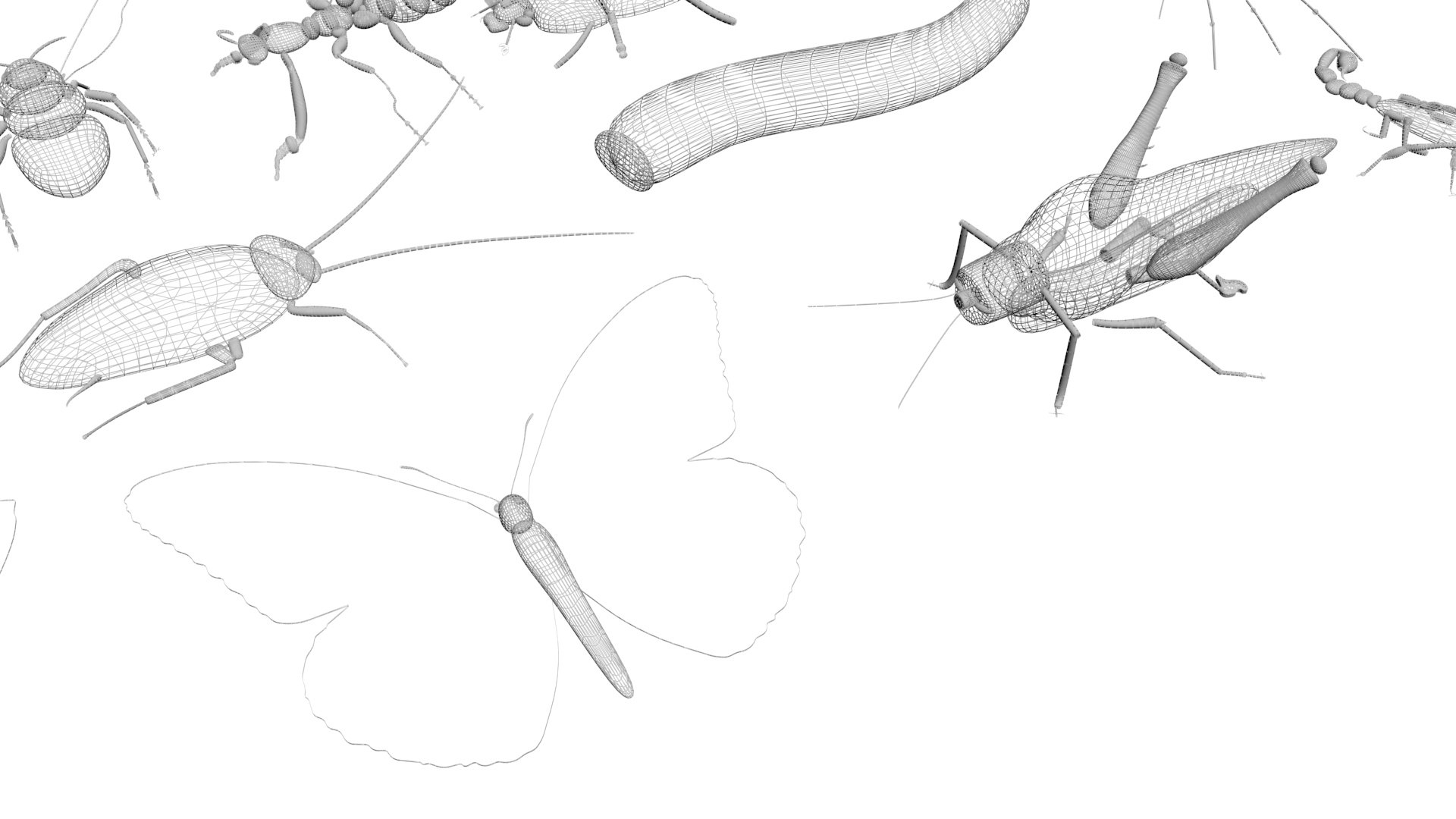 3D model Worms Set https://p.turbosquid.com/ts-thumb/iH/RUjE5a/JV/insectsset61/jpg/1648401128/1920x1080/fit_q87/eab246ae0d51278356d72f3479eff73e5bc690d3/insectsset61.jpg