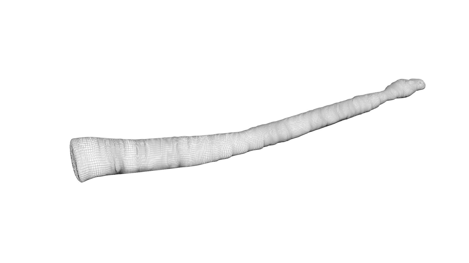 3D model Worms Set https://p.turbosquid.com/ts-thumb/iH/RUjE5a/Jn/tapewormnew12/jpg/1716357575/1920x1080/fit_q87/eda47d1d4d07f68ab5b5c38bbf3c99859f2ee30f/tapewormnew12.jpg