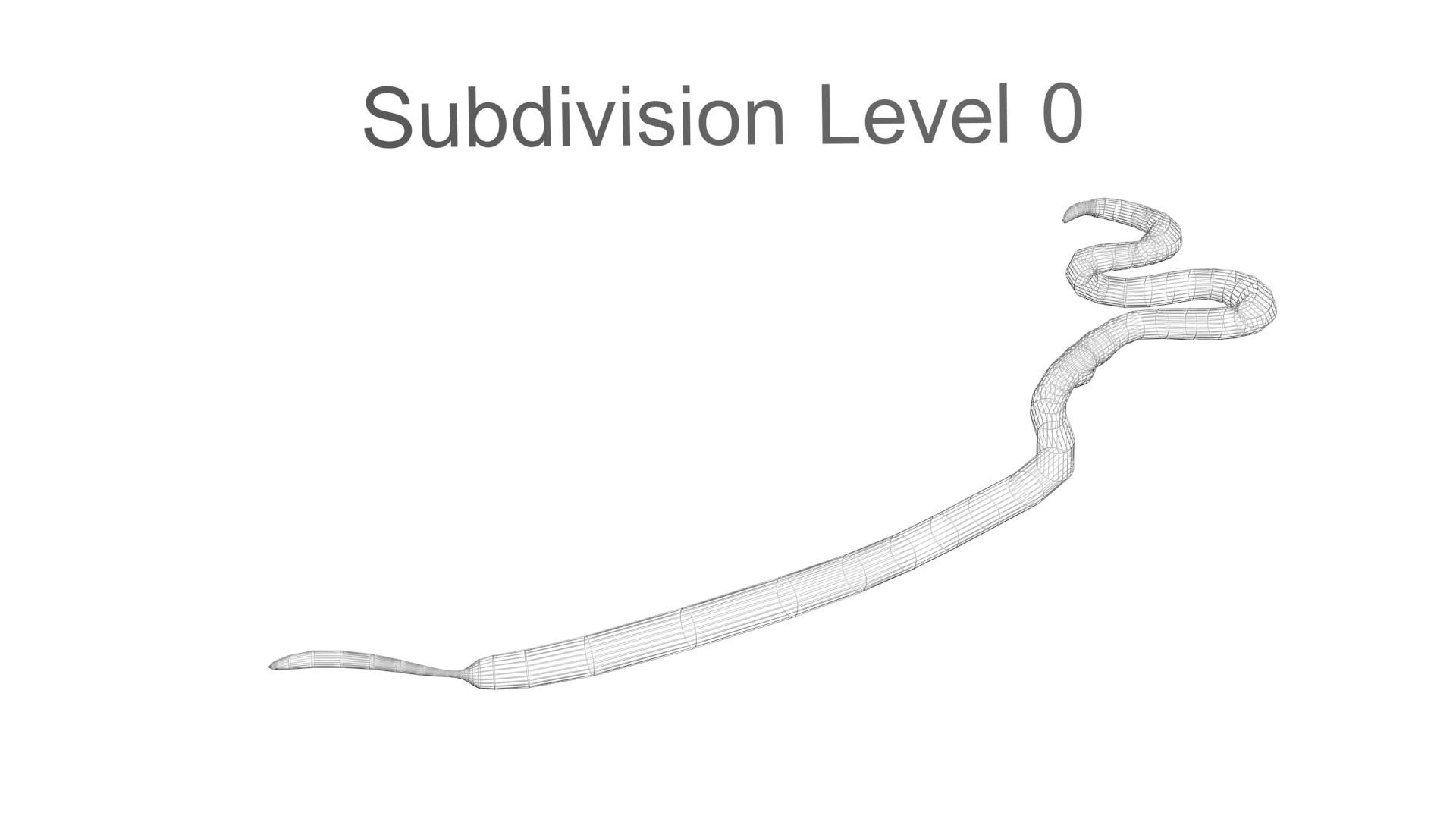 3D model Worms Set https://p.turbosquid.com/ts-thumb/iH/RUjE5a/My/roundwormnew19/jpg/1716357286/1920x1080/fit_q87/d8850503075db4b1bbccc7aa01b0e0a7e257ff93/roundwormnew19.jpg