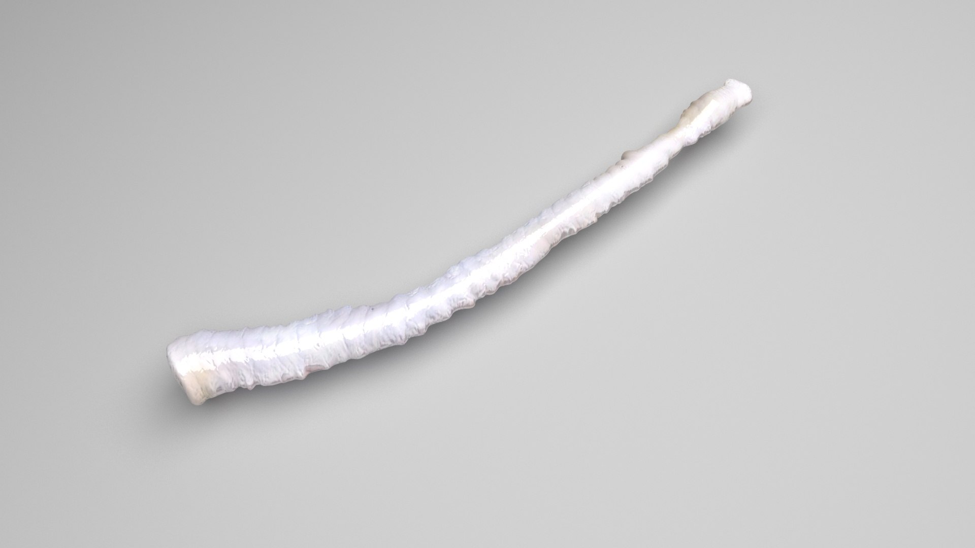 3D model Worms Set https://p.turbosquid.com/ts-thumb/iH/RUjE5a/O1/tapewormnew/jpg/1716357284/1920x1080/fit_q87/25df4c52bfe04e9bbccf6448852fd781cd5cc216/tapewormnew.jpg