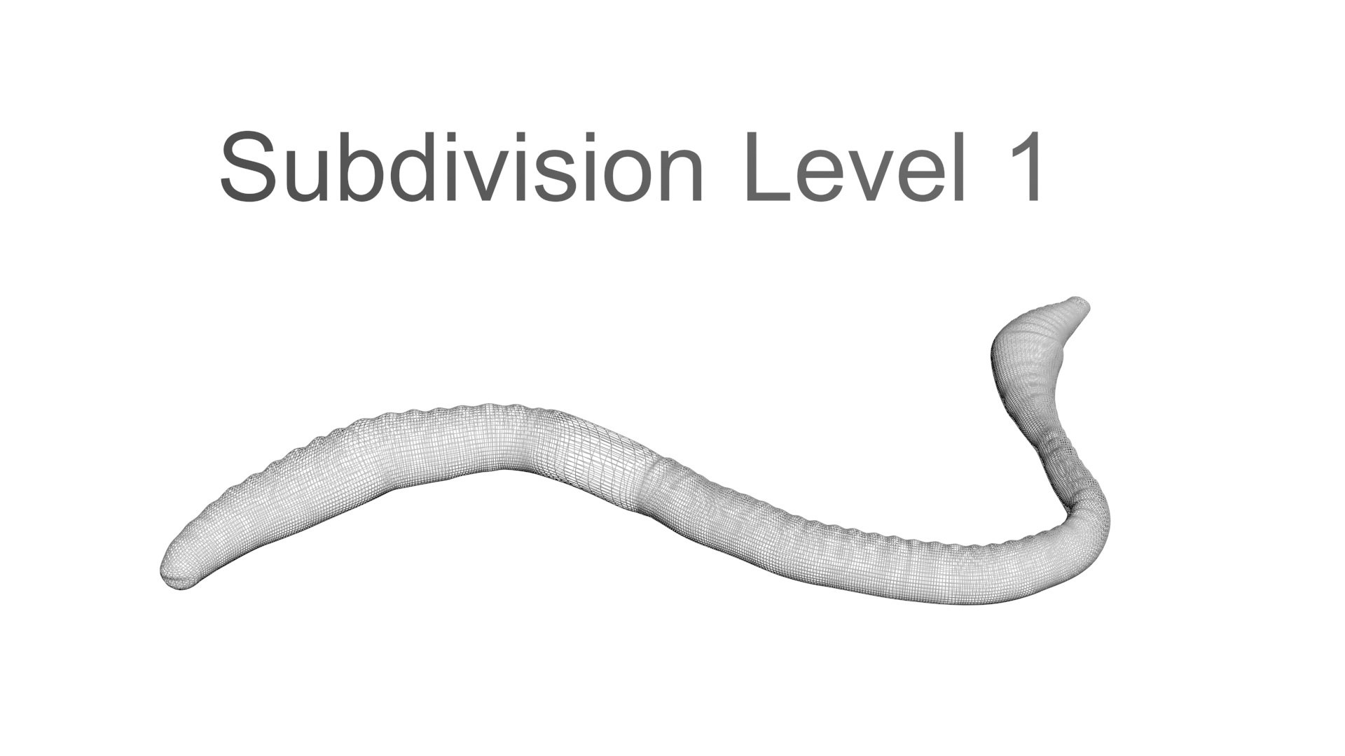 3D model Worms Set https://p.turbosquid.com/ts-thumb/iH/RUjE5a/QI/earthwormnew21/jpg/1716357246/1920x1080/fit_q87/84eb6e2393940f61112ea22a931cbad87e032389/earthwormnew21.jpg