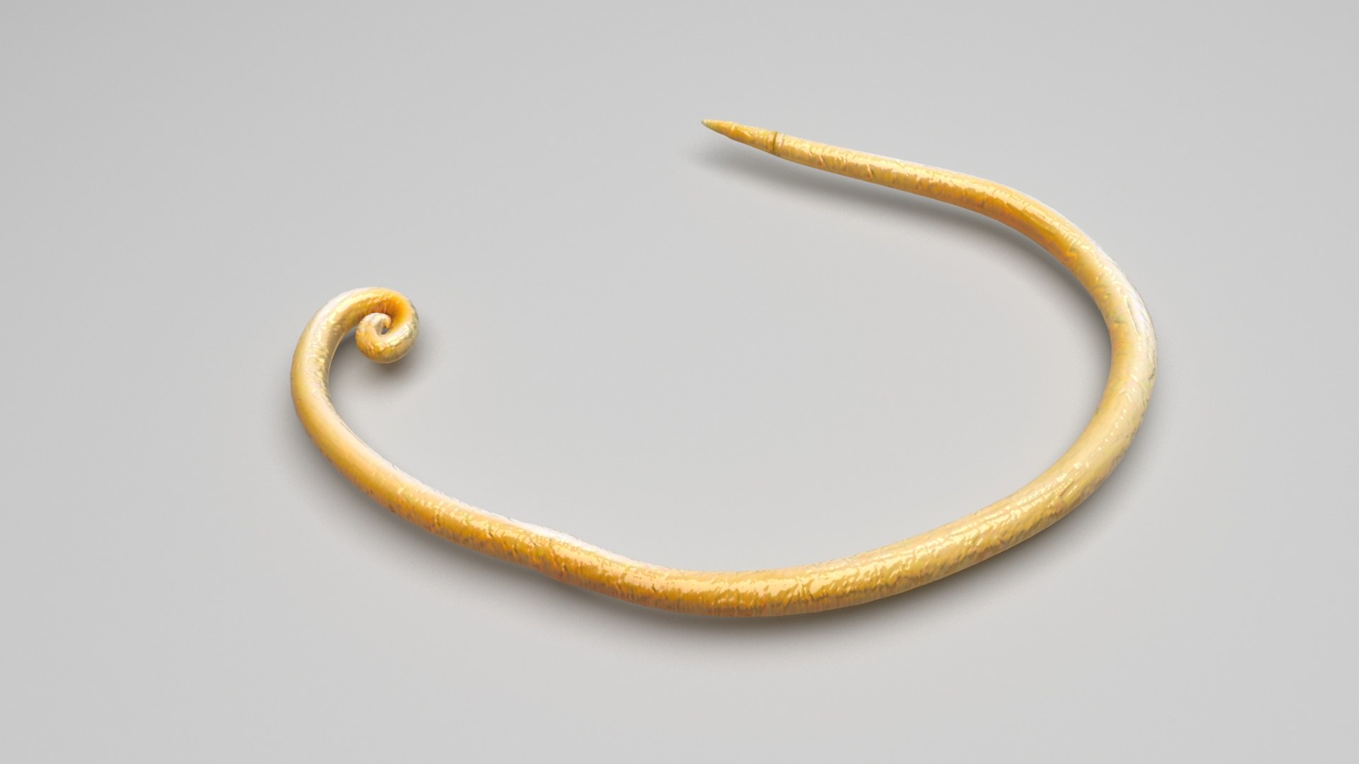 3D model Worms Set https://p.turbosquid.com/ts-thumb/iH/RUjE5a/QM/whipwormnew/jpg/1716357290/1920x1080/fit_q87/30714de5907ec3b7df58bbaba2d9808eb803248f/whipwormnew.jpg