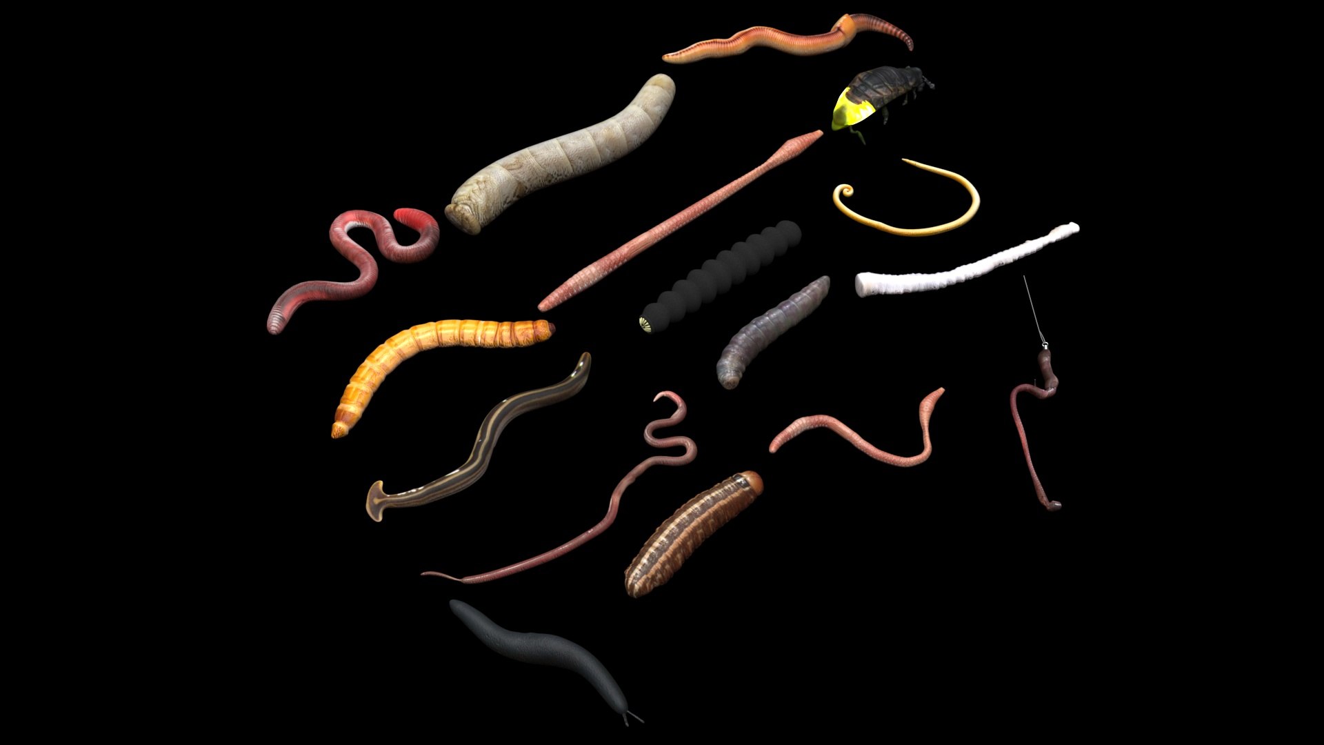 3D model Worms Set https://p.turbosquid.com/ts-thumb/iH/RUjE5a/Sa/wormssetnew4/jpg/1716357175/1920x1080/fit_q87/6fe1db0eedba5530c3ff7f0647c8040adc388ce3/wormssetnew4.jpg