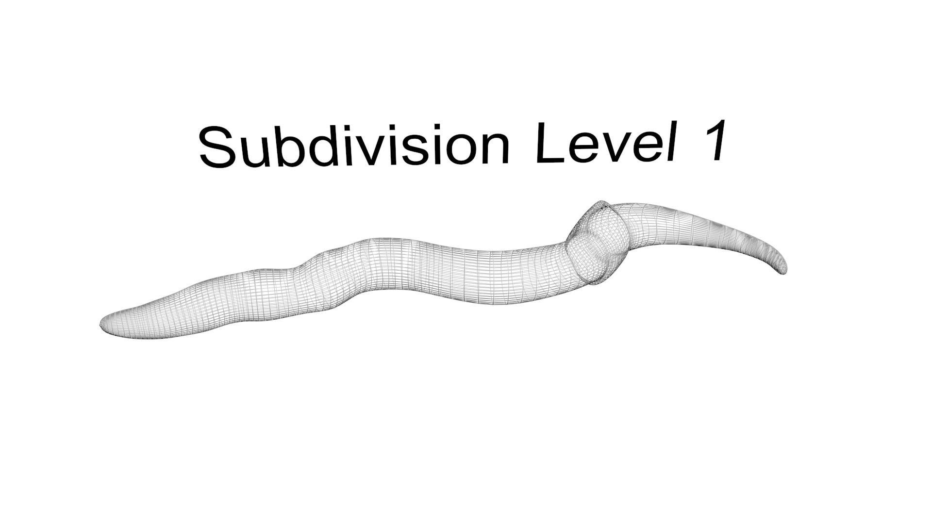 3D model Worms Set https://p.turbosquid.com/ts-thumb/iH/RUjE5a/Vl/worm24/jpg/1648401040/1920x1080/fit_q87/d3b7413632195cab86c67c2608e7deced010cad3/worm24.jpg