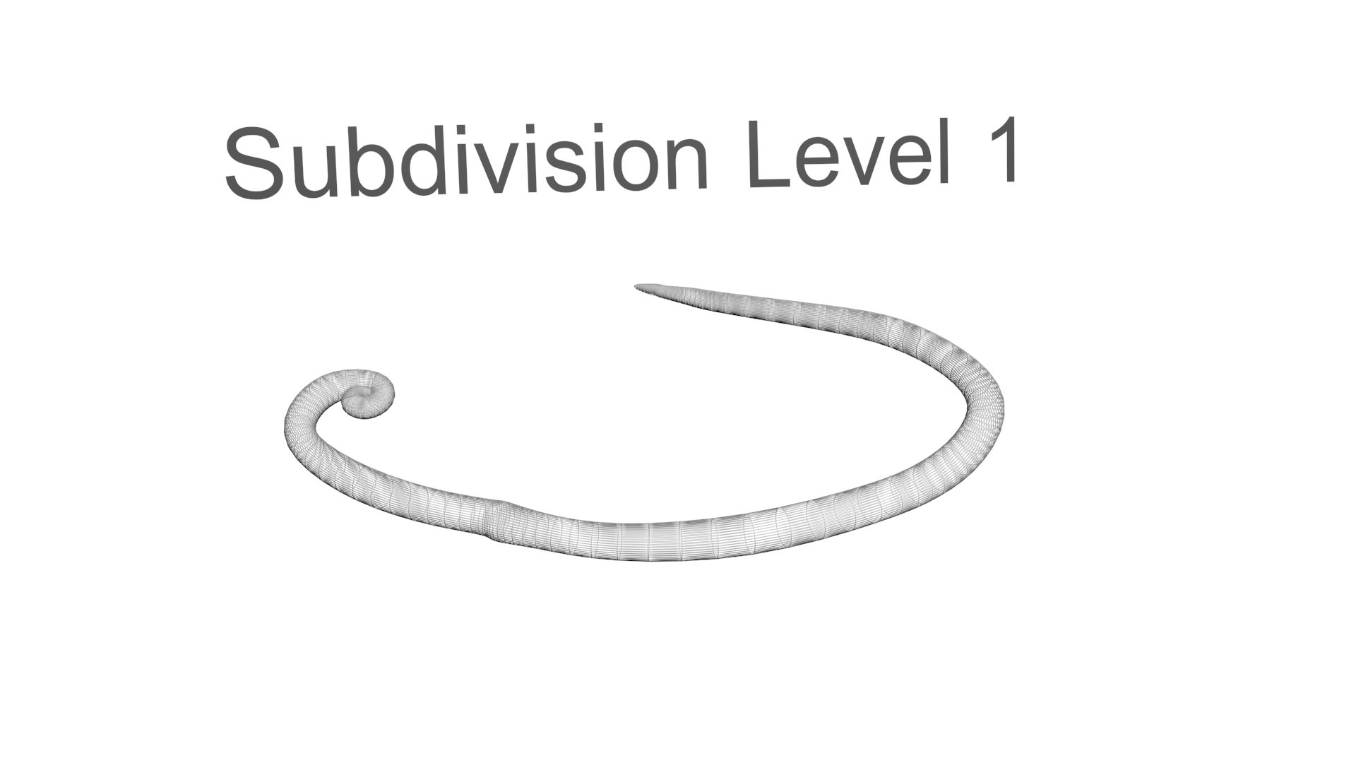 3D model Worms Set https://p.turbosquid.com/ts-thumb/iH/RUjE5a/X4/whipwormnew20/jpg/1716357289/1920x1080/fit_q87/fd139d29c7fae27d7f89a6415fde2248ed2be931/whipwormnew20.jpg