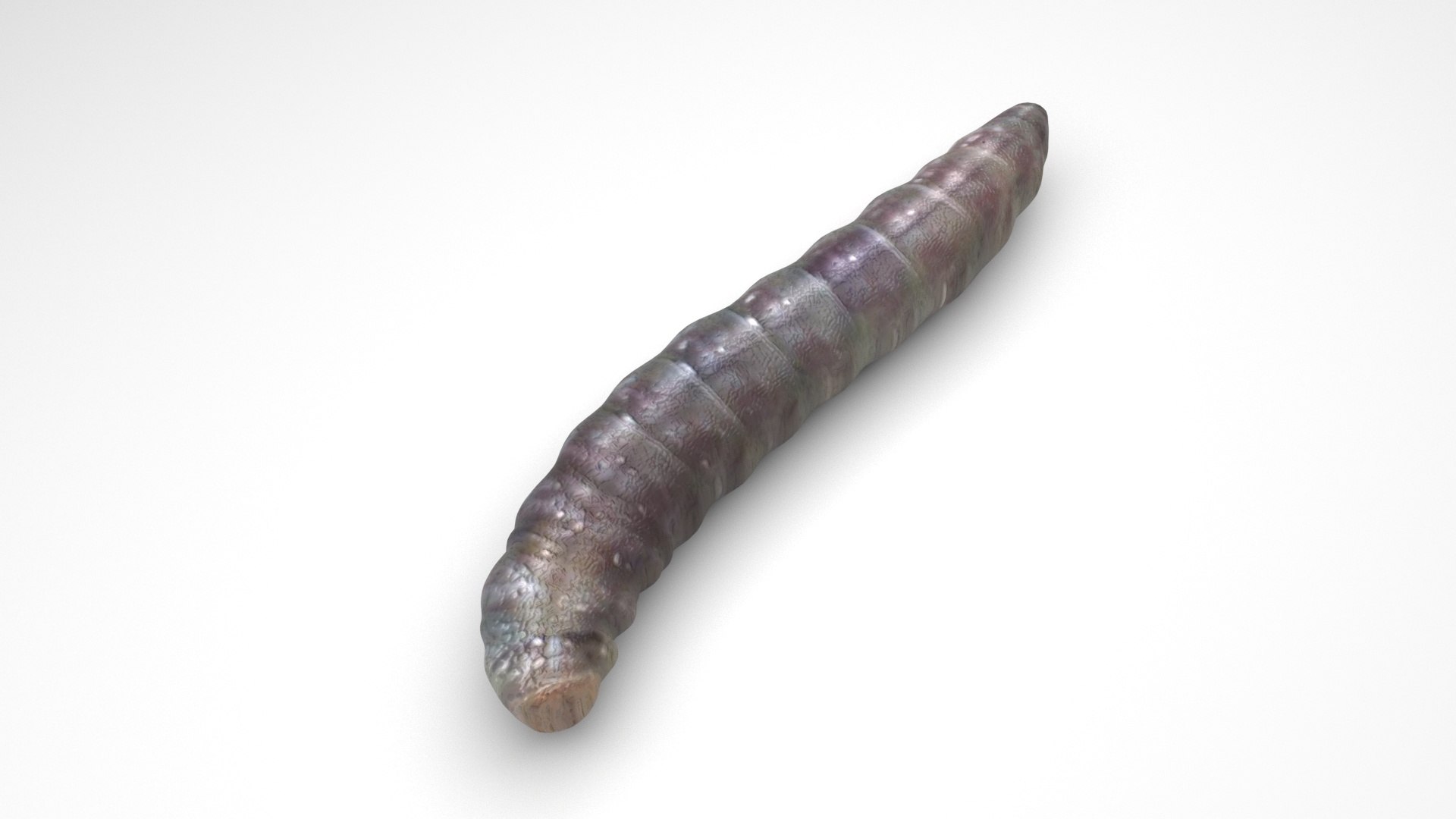 3D model Worms Set https://p.turbosquid.com/ts-thumb/iH/RUjE5a/Yf/pinwormnew/jpg/1716357286/1920x1080/fit_q87/54d1f654a23e6536d9fc3ad51601437e7a6ae9ff/pinwormnew.jpg