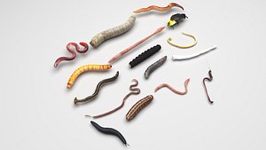 3D model Worms Set