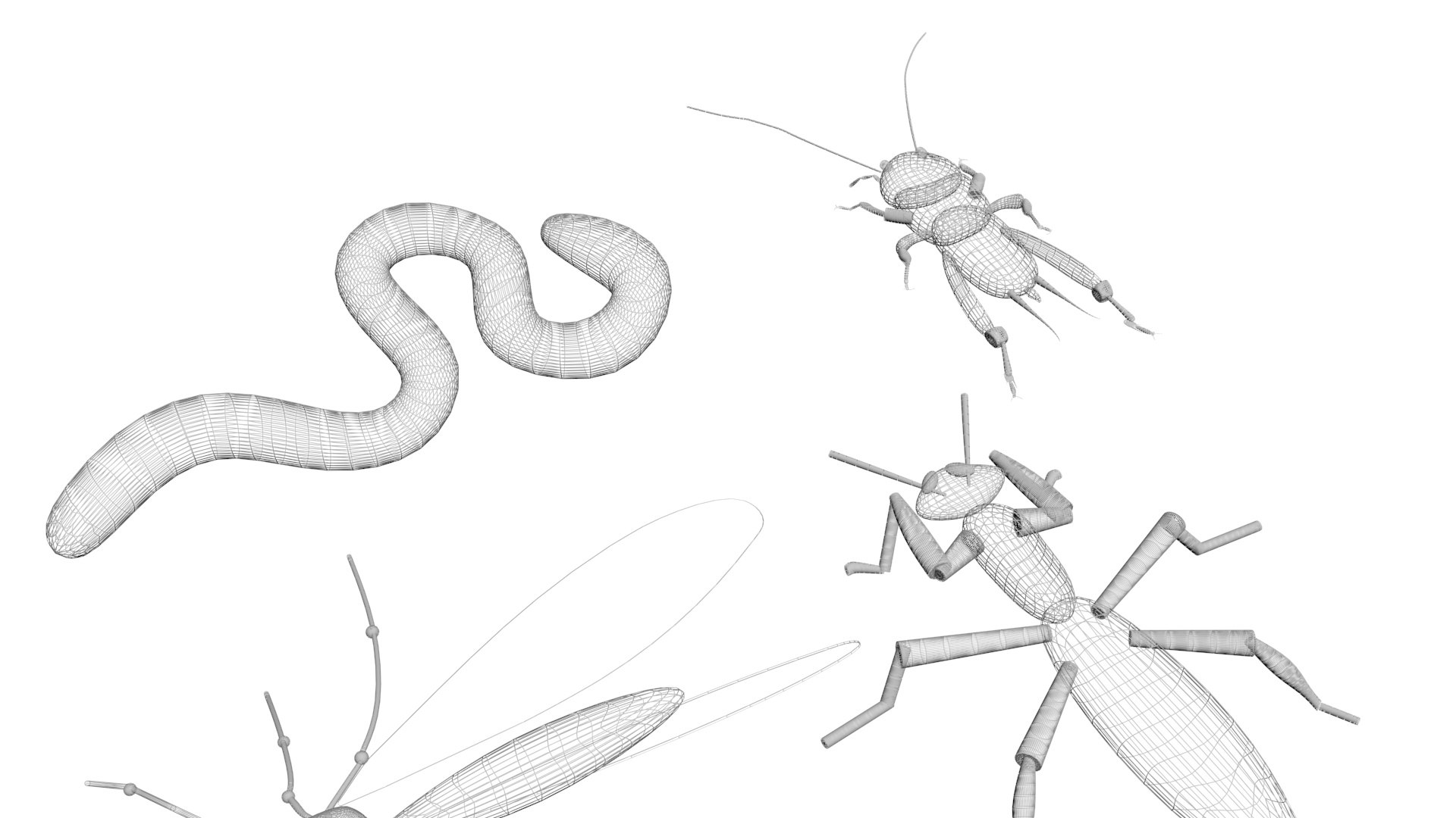 3D model Worms Set https://p.turbosquid.com/ts-thumb/iH/RUjE5a/gv/insectsset59/jpg/1648401128/1920x1080/fit_q87/13219de32da653f0cb3dfccdb8eacdce55f4b559/insectsset59.jpg