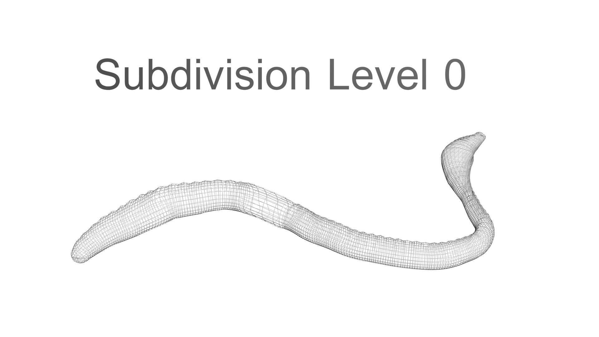 3D model Worms Set https://p.turbosquid.com/ts-thumb/iH/RUjE5a/ih/earthwormnew22/jpg/1716357245/1920x1080/fit_q87/c551adaa1c97792247ca8d66b6c3fc59fd304076/earthwormnew22.jpg