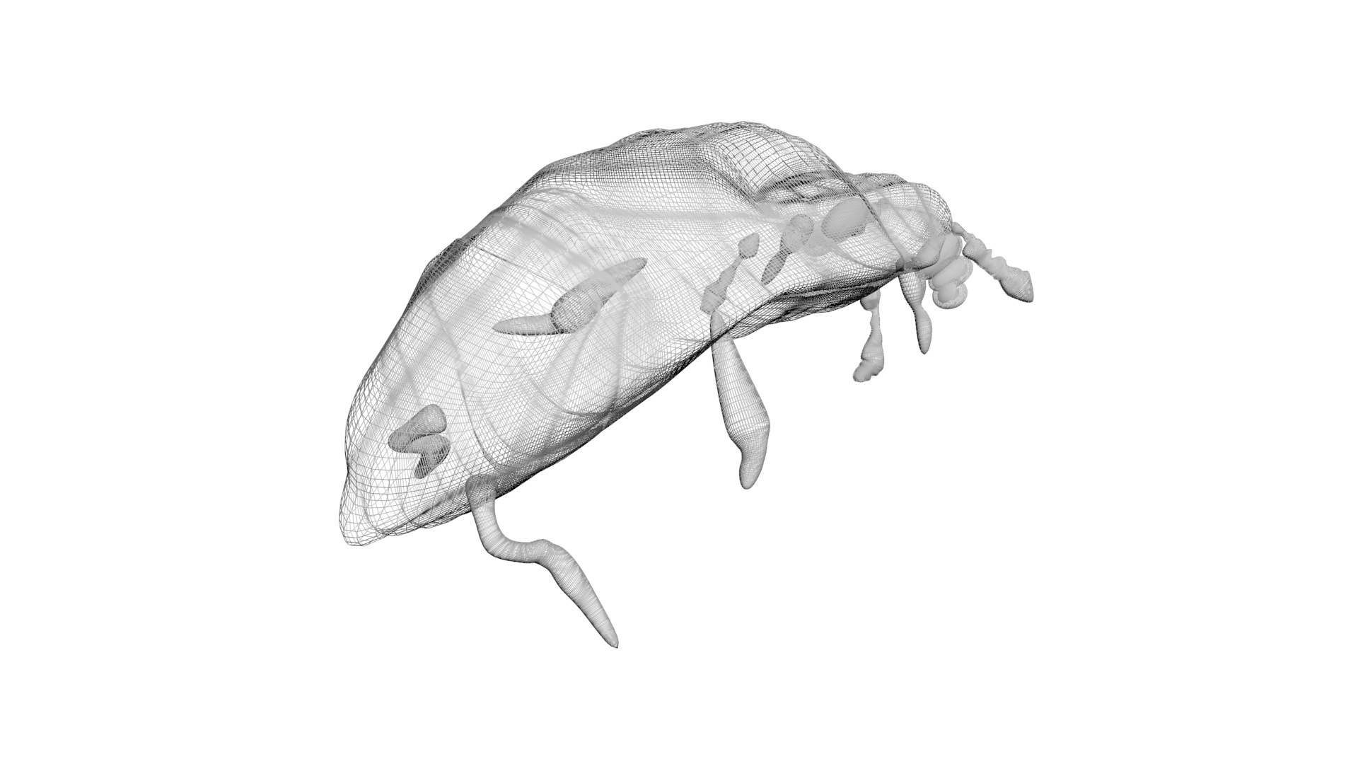 3D model Worms Set https://p.turbosquid.com/ts-thumb/iH/RUjE5a/lV/glowworm15/jpg/1716357216/1920x1080/fit_q87/61945291648fba5b946dc7b2503b43b13d53c5e4/glowworm15.jpg