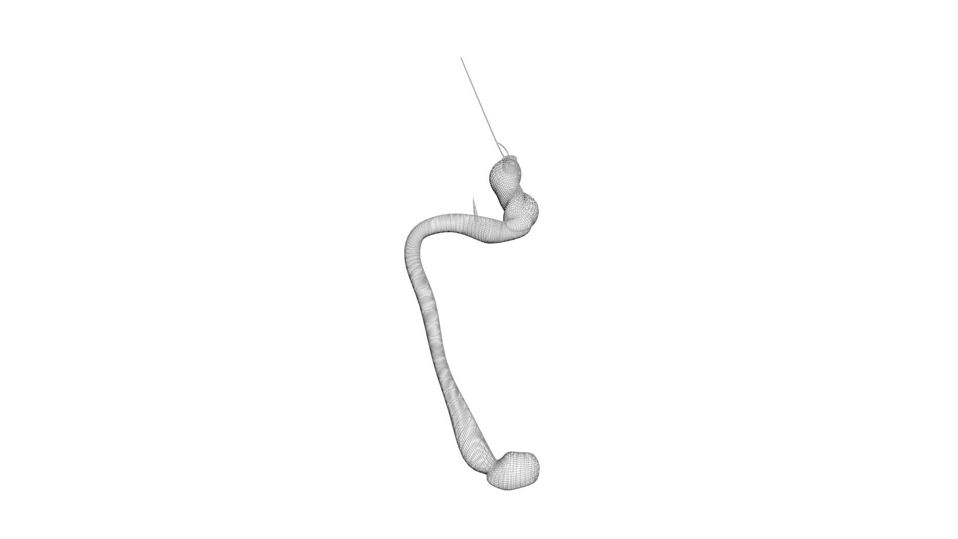 3D model Worms Set https://p.turbosquid.com/ts-thumb/iH/RUjE5a/mD/hookworm19/jpg/1716357243/1920x1080/fit_q87/4a8a05dcdd2b45a6762e2dd265905d8f11506528/hookworm19.jpg