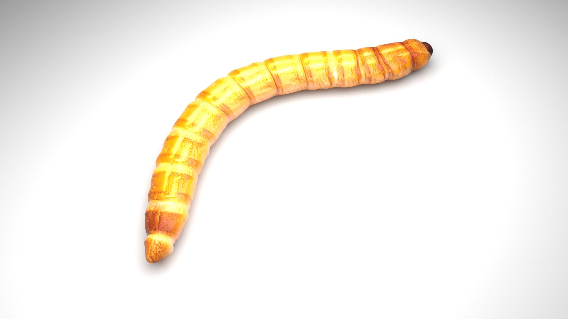 3D model Worms Set https://p.turbosquid.com/ts-thumb/iH/RUjE5a/o3/mealworm/jpg/1648401104/1920x1080/fit_q87/410f51bf73add2641e0b4df2cf82b71094fdb355/mealworm.jpg