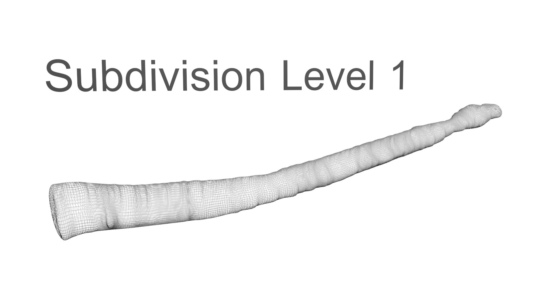 3D model Worms Set https://p.turbosquid.com/ts-thumb/iH/RUjE5a/rX/tapewormnew18/jpg/1716357284/1920x1080/fit_q87/000cd84fa25560e1df801dba367c0d79e8863e9b/tapewormnew18.jpg