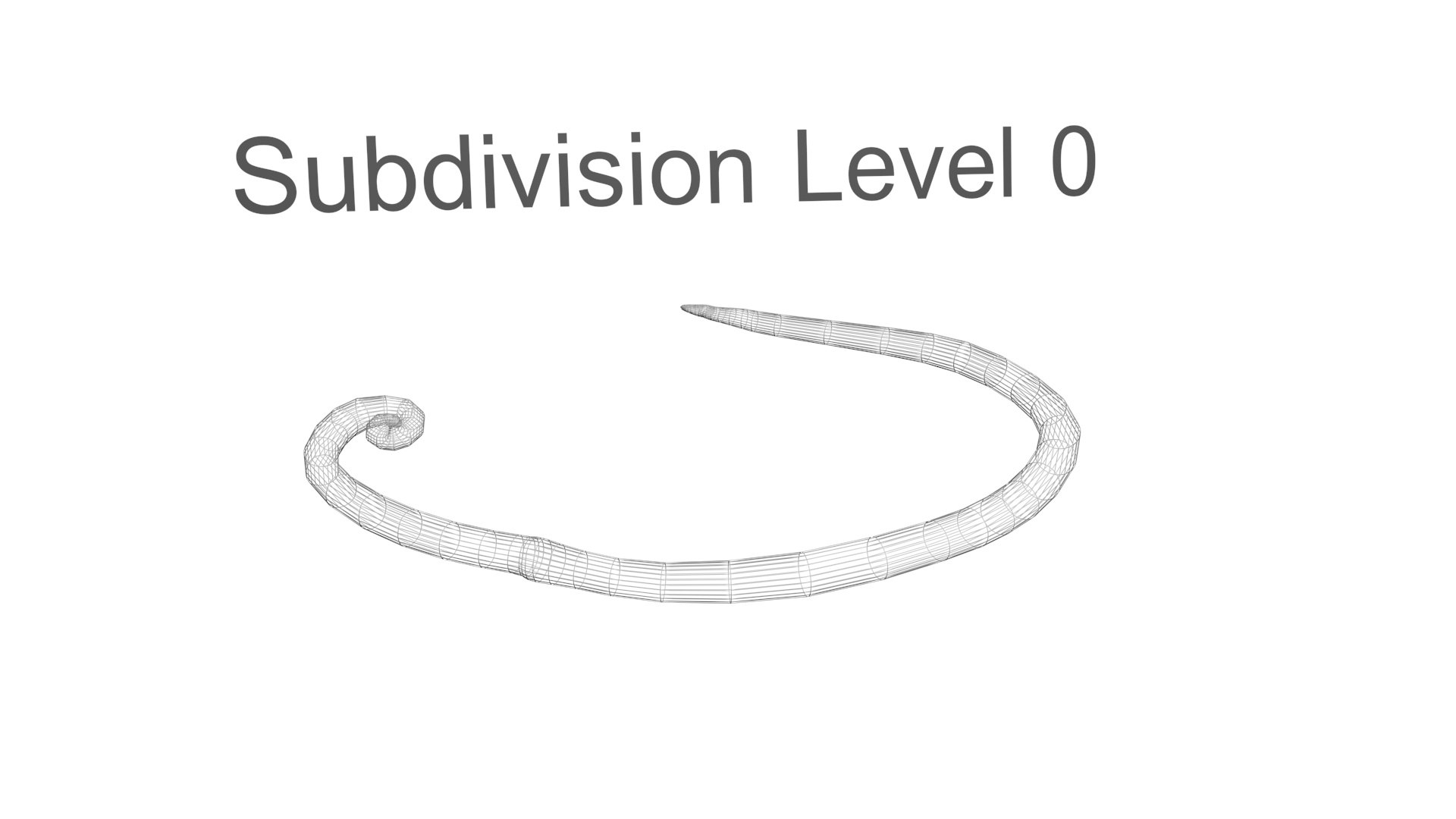 3D model Worms Set https://p.turbosquid.com/ts-thumb/iH/RUjE5a/sF/whipwormnew21/jpg/1716357289/1920x1080/fit_q87/a508f6df0ce3f6b60840087f39d52586ca5b7448/whipwormnew21.jpg