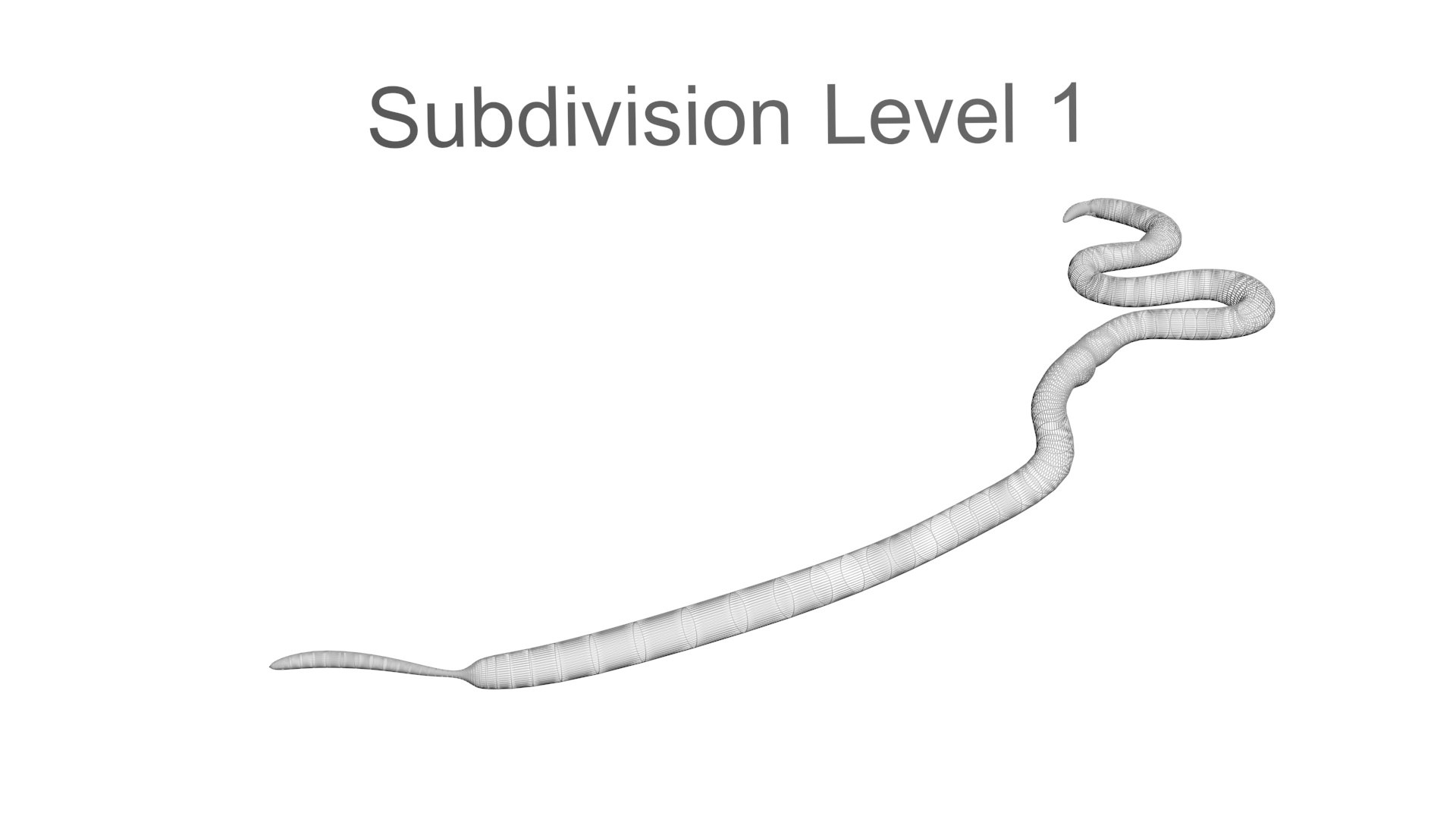 3D model Worms Set https://p.turbosquid.com/ts-thumb/iH/RUjE5a/uw/roundwormnew18/jpg/1716357287/1920x1080/fit_q87/b05e50138a67333867a99e2538a45a1ba7fe6204/roundwormnew18.jpg