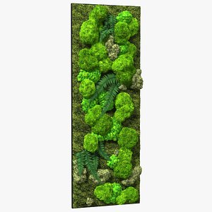 Natural Moss Wall with Preserved Plants Fur