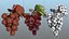 Grapes Collection 3D model