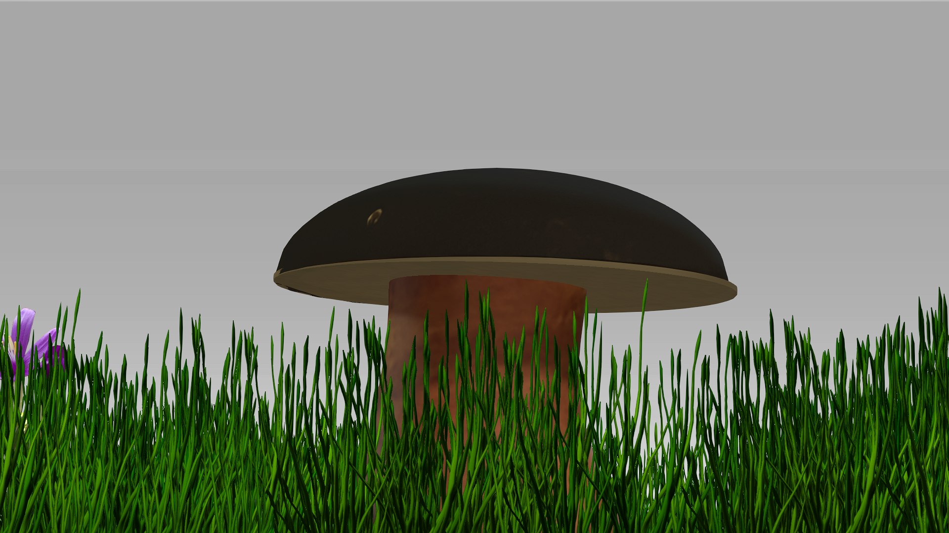 3D boletus https://p.turbosquid.com/ts-thumb/iH/fMbc0C/Mk/4/png/1631607562/1920x1080/fit_q87/2d16efdafcc99023069b03dde7464eb7ccdaa6a6/4.jpg