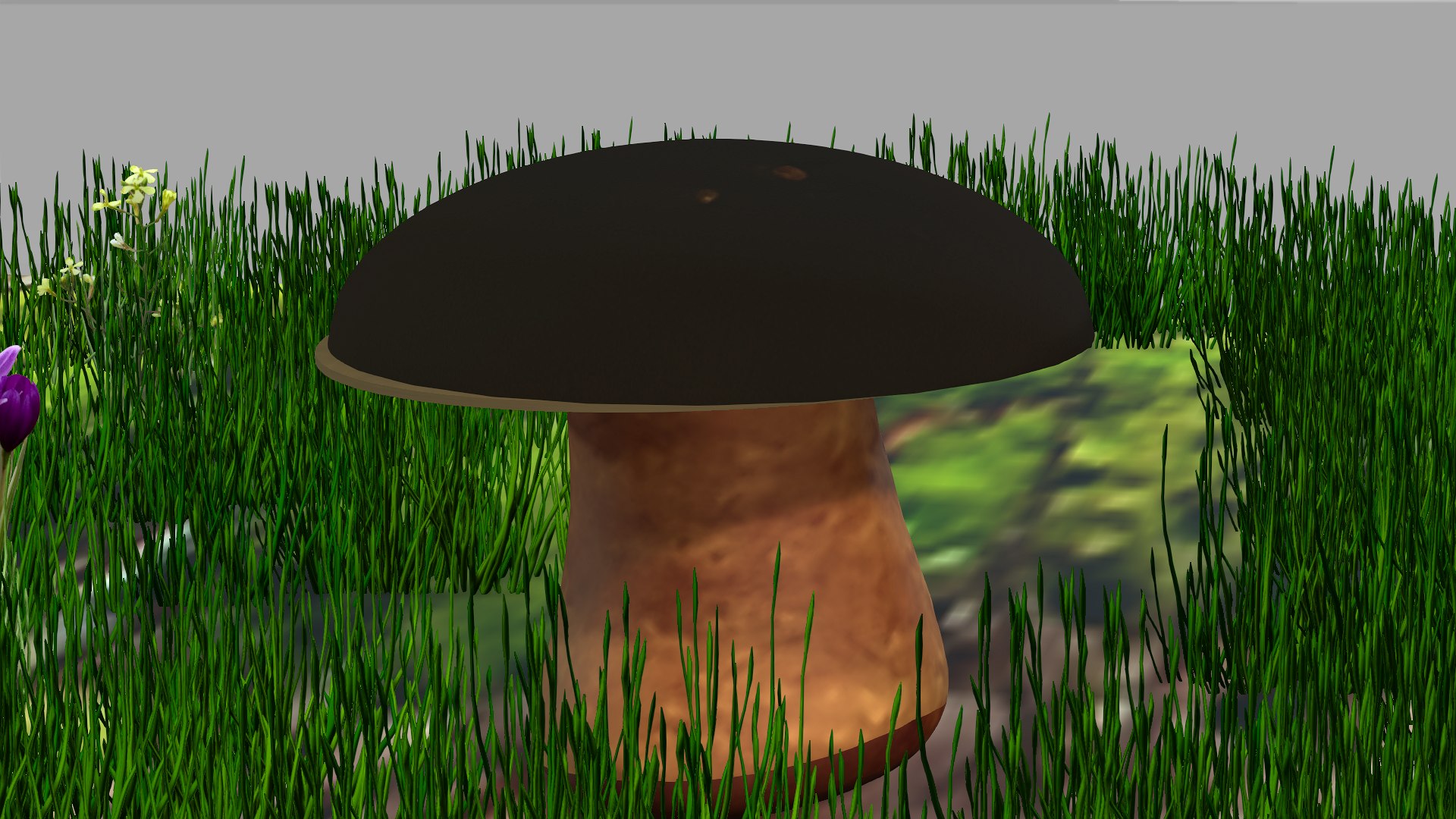 3D boletus https://p.turbosquid.com/ts-thumb/iH/fMbc0C/NP/5/png/1631607566/1920x1080/fit_q87/99dc36594d1904e7ccd8d07305cebf01b9d1c89d/5.jpg