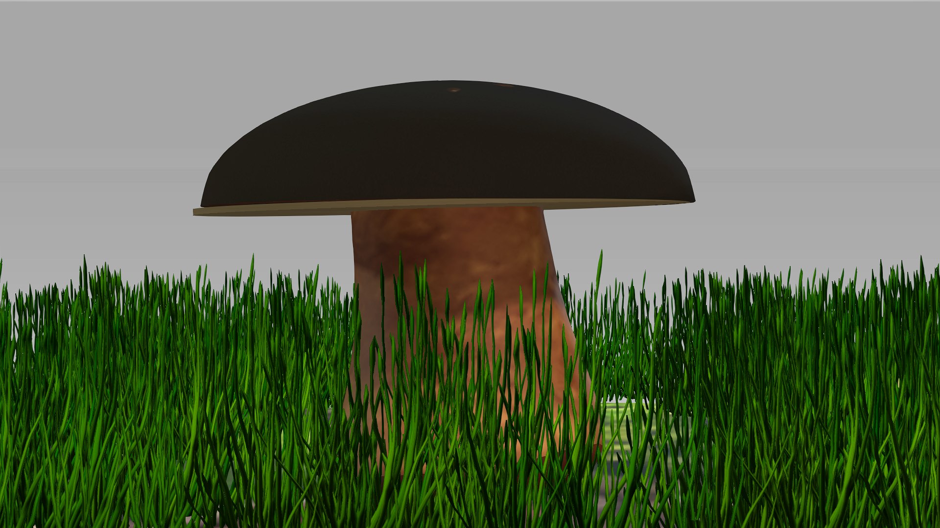 3D boletus https://p.turbosquid.com/ts-thumb/iH/fMbc0C/Oc/2/png/1631607446/1920x1080/fit_q87/9ba1423c10b885362055f4b891ed44dd0b27f317/2.jpg