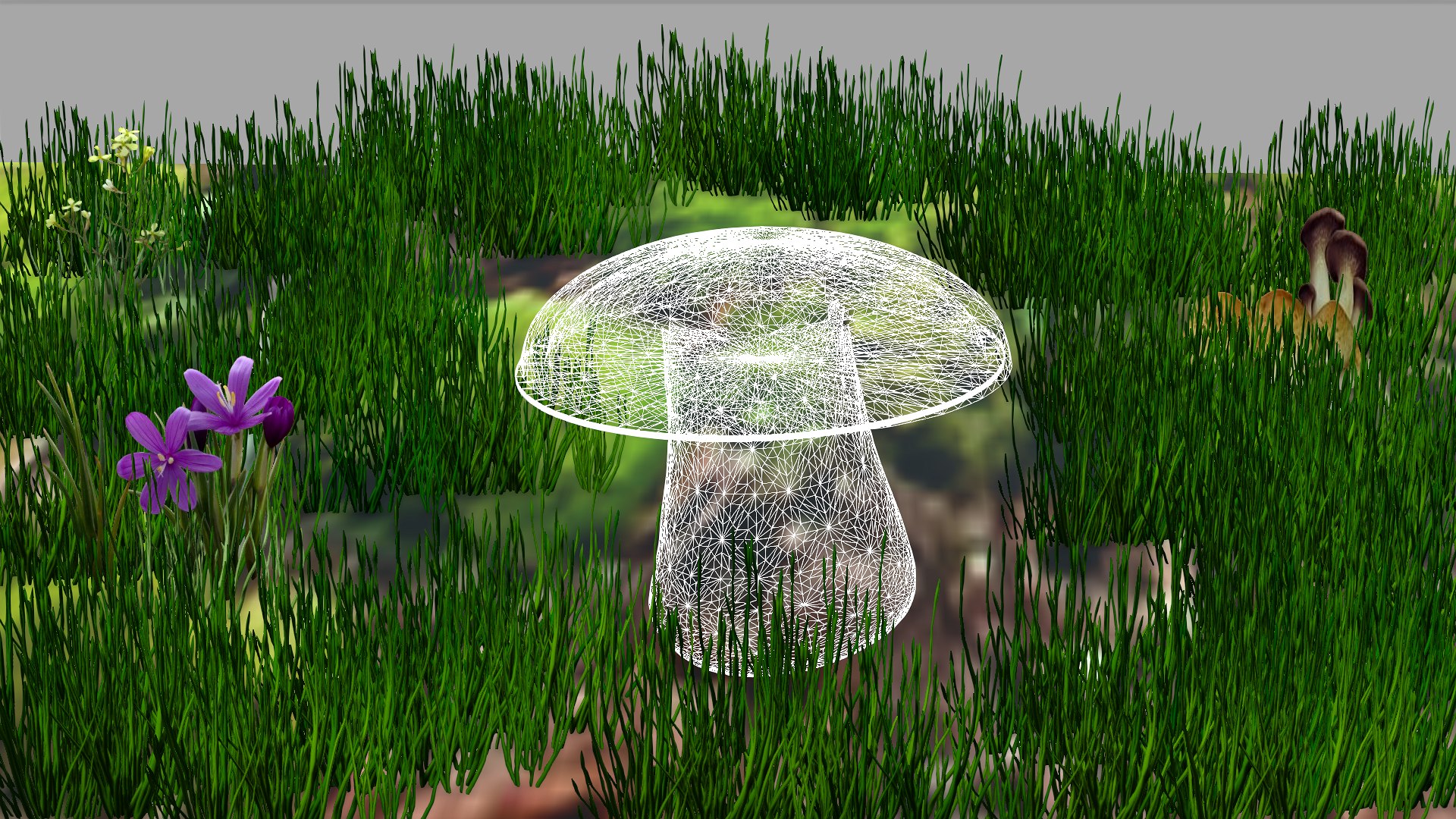 3D boletus https://p.turbosquid.com/ts-thumb/iH/fMbc0C/TJ/wireframe/png/1631607241/1920x1080/fit_q87/1a9153668c870f4466d8bd082880d0583d01d4a8/wireframe.jpg