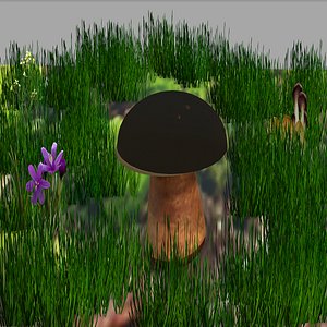 3D boletus