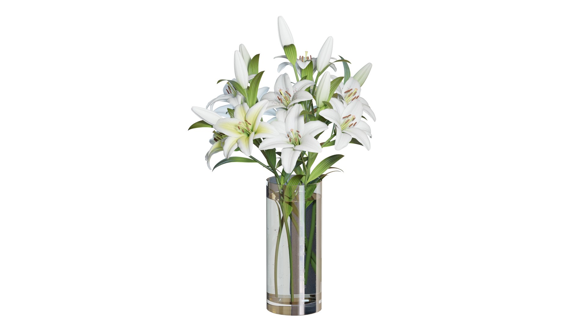 Flower Set 10 - White Lilies Bouquet 3D model https://p.turbosquid.com/ts-thumb/iH/m94OFT/GG/flower_set_10_color_0002/jpg/1651806512/1920x1080/fit_q87/acaf972140b2190cdbaf965bf594d7f44e331a34/flower_set_10_color_0002.jpg