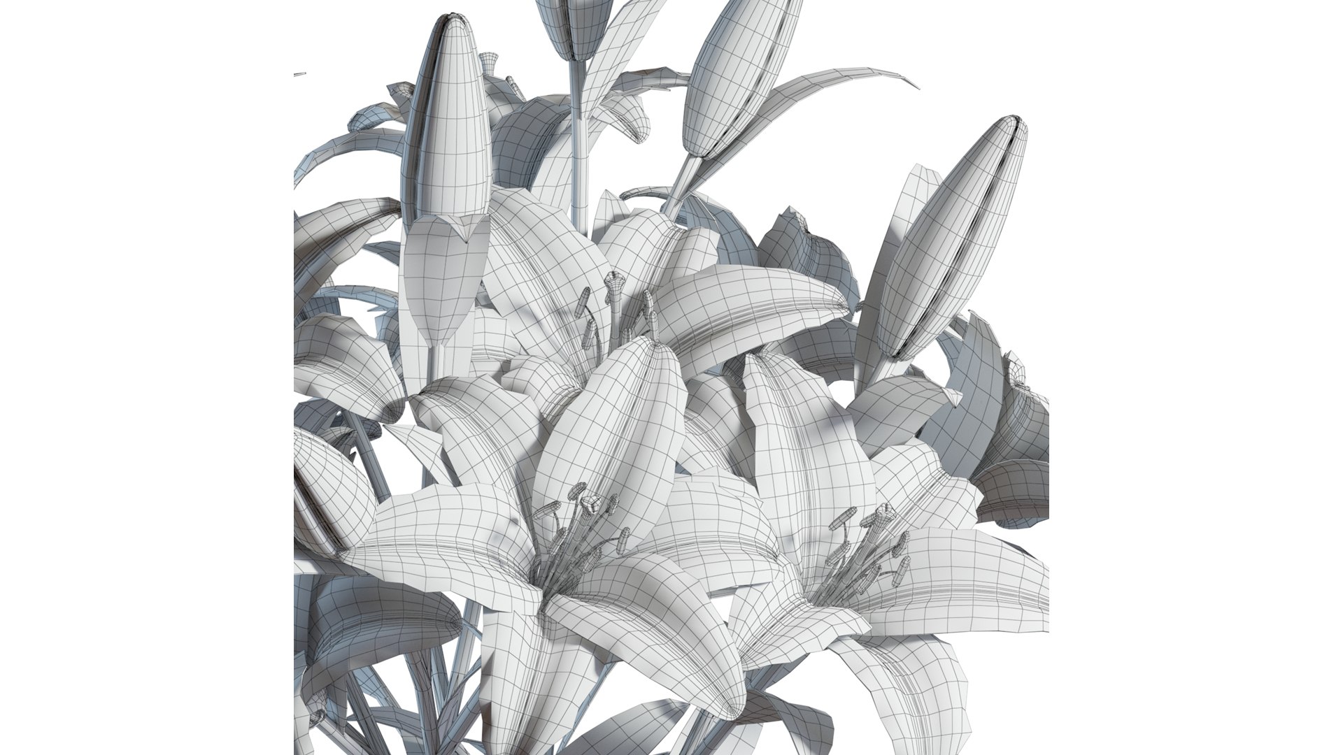 Flower Set 10 - White Lilies Bouquet 3D model https://p.turbosquid.com/ts-thumb/iH/m94OFT/Kw/flower_set_10_wire_0004/jpg/1651806519/1920x1080/fit_q87/bcd7c26c4d96328a54b9f014effc04f3c97b08b5/flower_set_10_wire_0004.jpg
