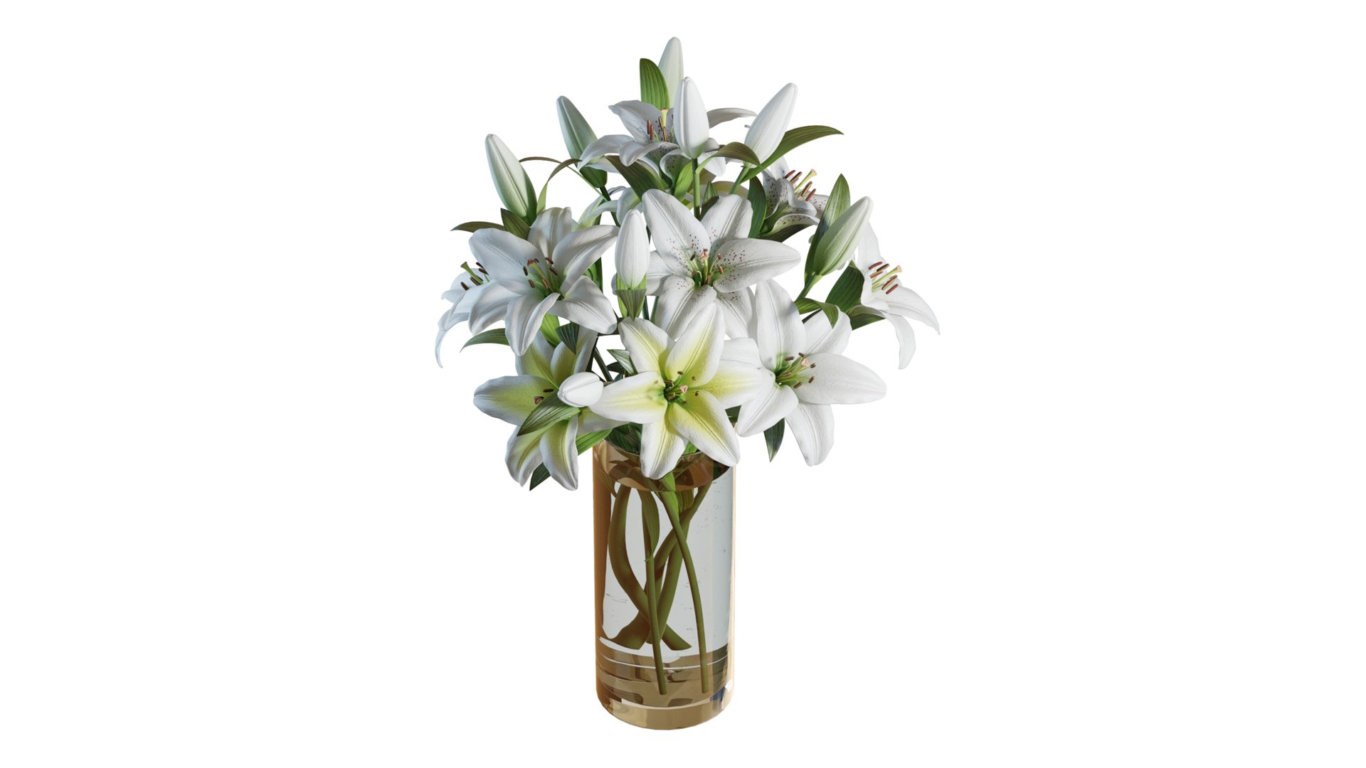 Flower Set 10 - White Lilies Bouquet 3D model https://p.turbosquid.com/ts-thumb/iH/m94OFT/aj/flower_set_10_color_0001/jpg/1651806518/1920x1080/fit_q87/0719d48dab847b22fd5d2d1c277911aec4b0bb32/flower_set_10_color_0001.jpg