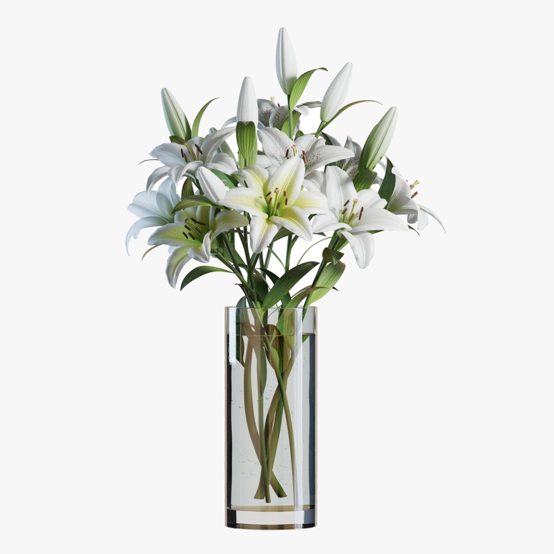 Flower Set 10 - White Lilies Bouquet 3D model https://p.turbosquid.com/ts-thumb/iH/m94OFT/l3/flower_set_10_color_0000thumbnail/jpg/1651806510/1920x1080/fit_q87/e9935a8012f45c82bd978ca55491e2a4bddcb5a8/flower_set_10_color_0000thumbnail.jpg