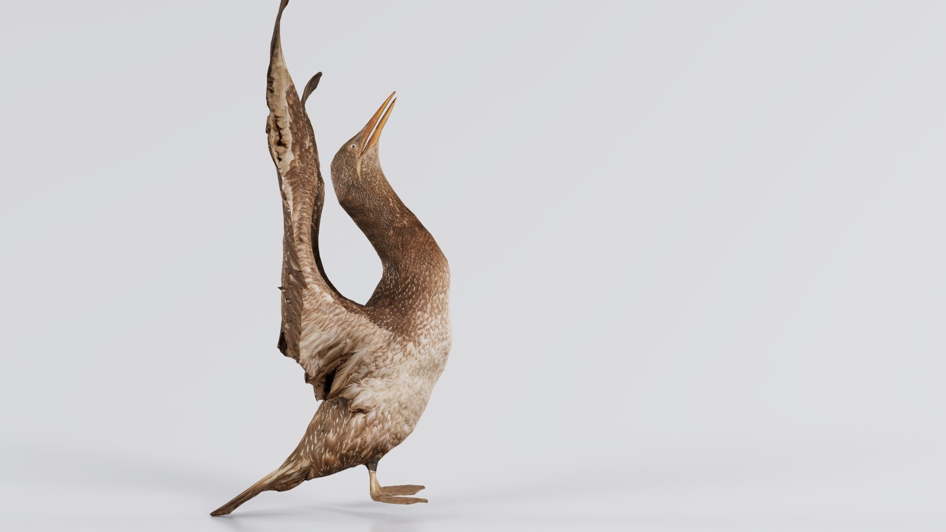 3D Cormorant Corvus Marinus Sea Raven Remastered https://p.turbosquid.com/ts-thumb/iH/obSpAC/Sw/cormorant_corvus_marinus_sea_raven_01/jpg/1740063688/1920x1080/fit_q87/1e0a3fb047b0ad3cc7f02c1d6ee138bb8fe81a3d/cormorant_corvus_marinus_sea_raven_01.jpg