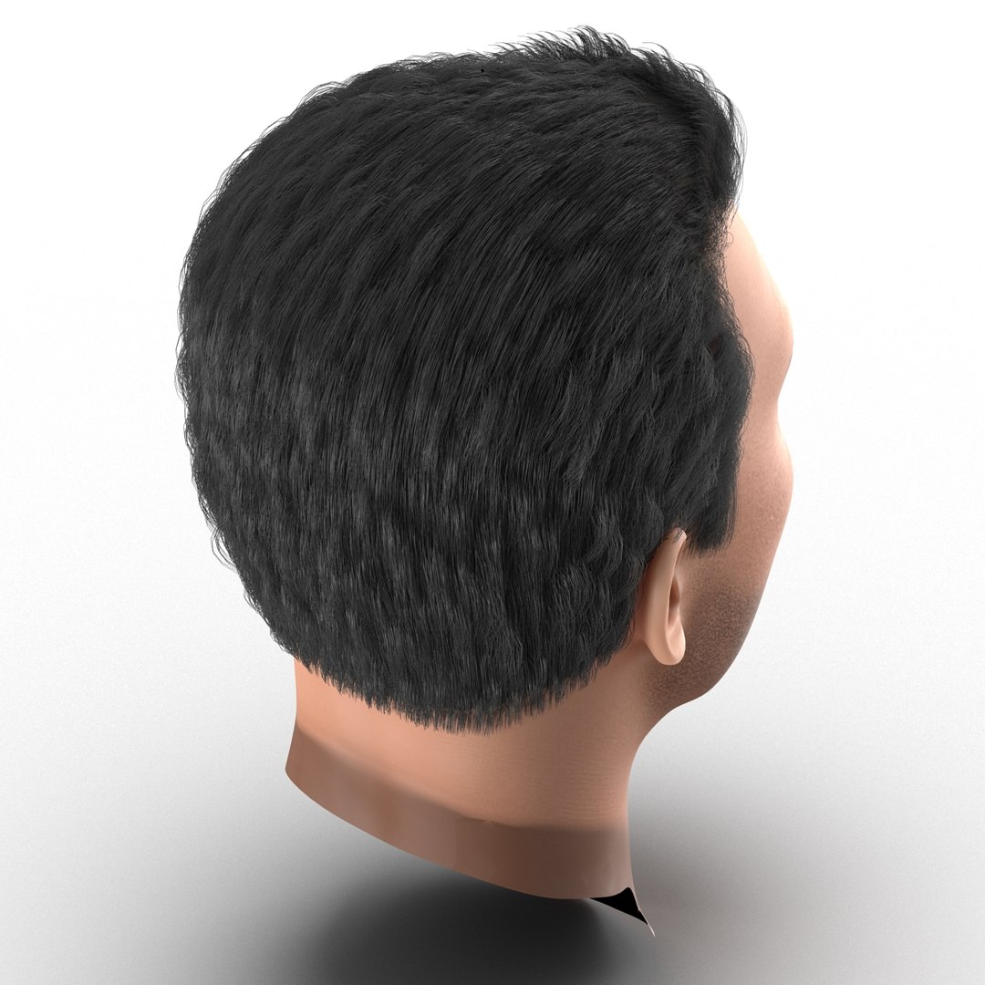 3d mediterranean male head hair model https://p.turbosquid.com/ts-thumb/iH/oqZTY1/0An2a2co/mediterraneanmaleheadwithhair3dmodel10/jpg/1427218592/1920x1080/fit_q87/2ba302ebb5ae21c30aa03db1fbc24f0a510b76b7/mediterraneanmaleheadwithhair3dmodel10.jpg