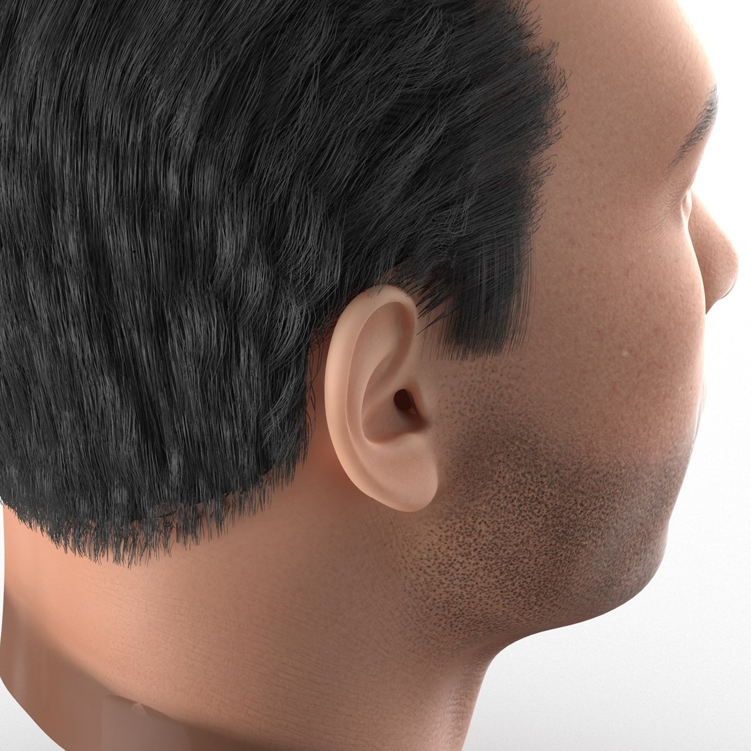 3d mediterranean male head hair model https://p.turbosquid.com/ts-thumb/iH/oqZTY1/G6QIZ9py/mediterraneanmaleheadwithhair3dmodel14/jpg/1427218592/1920x1080/fit_q87/91983eeb87e9c4287450a774eb387ec7a0060312/mediterraneanmaleheadwithhair3dmodel14.jpg