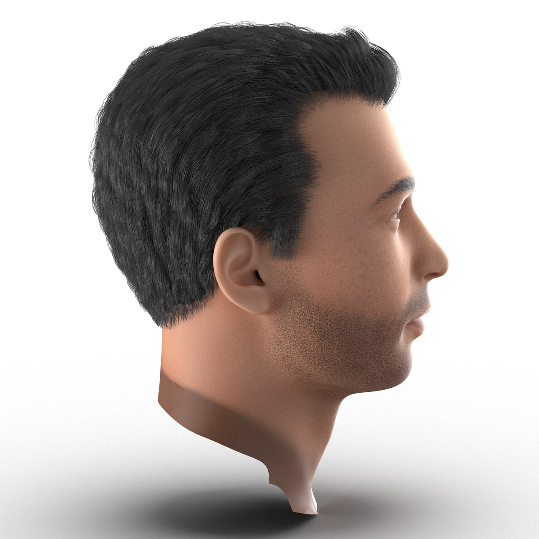 3d mediterranean male head hair model https://p.turbosquid.com/ts-thumb/iH/oqZTY1/JzS3Gp8P/mediterraneanmaleheadwithhair3dmodel04/jpg/1427218591/1920x1080/fit_q87/c16b85ebb688dd8fdb5f36ae4d261910c72985fd/mediterraneanmaleheadwithhair3dmodel04.jpg