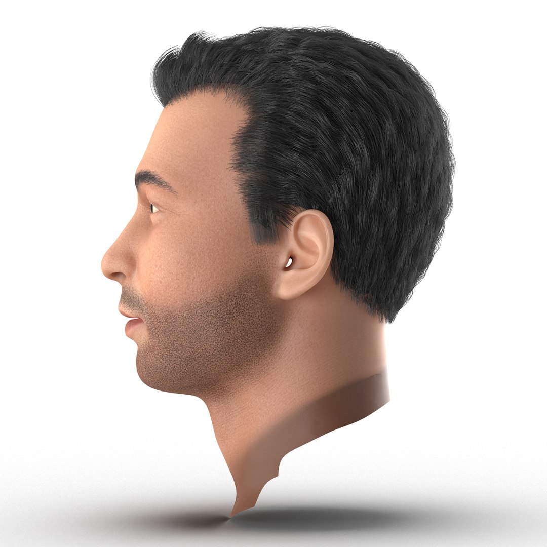 3d mediterranean male head hair model https://p.turbosquid.com/ts-thumb/iH/oqZTY1/tkQPF5mP/mediterraneanmaleheadwithhair3dmodel08/jpg/1427218592/1920x1080/fit_q87/2e220ea384c57351935ed16f8ff2b5599b376db7/mediterraneanmaleheadwithhair3dmodel08.jpg