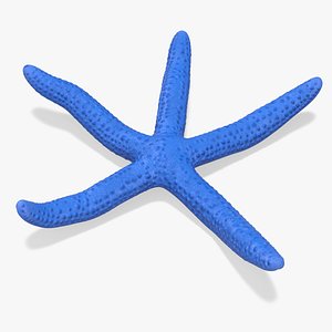 Ocean Starfish Rigged 3D model