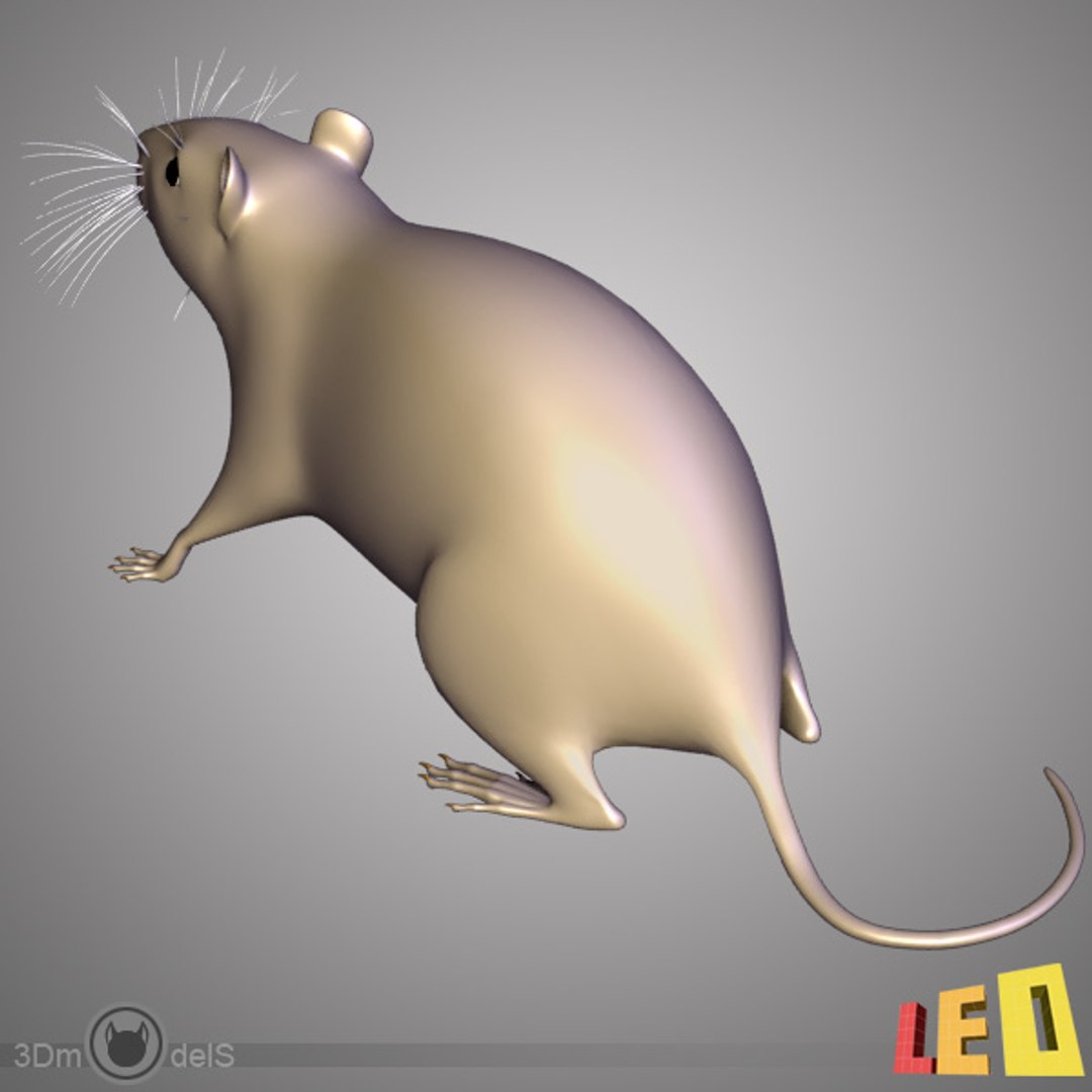 3d Model Rat