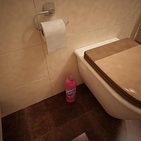 Domestos 1
