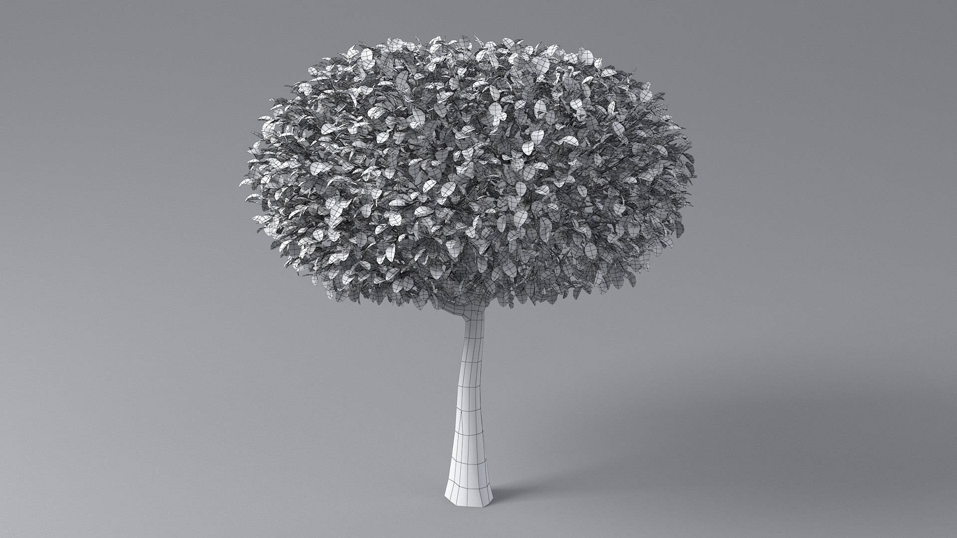 3D Cartoon Tree Pack https://p.turbosquid.com/ts-thumb/iH/t8GQKO/Ey/tree_small_06_08/jpg/1661537210/1920x1080/fit_q87/f915adda374a14b0f452e21635f686ff2dc54838/tree_small_06_08.jpg