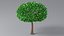 Cartoon Small Trees Collection