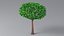 Cartoon Small Trees Collection