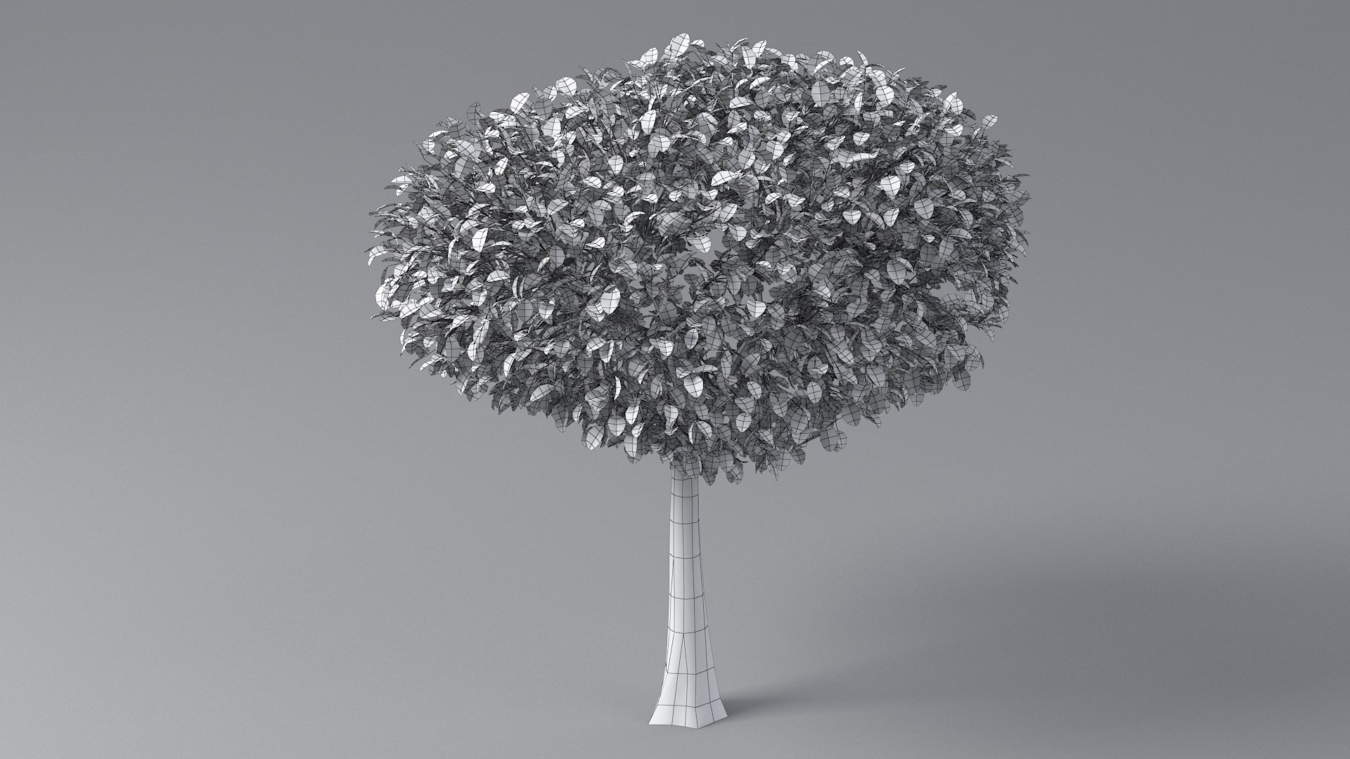 3D Cartoon Tree Pack https://p.turbosquid.com/ts-thumb/iH/t8GQKO/cC/tree_small_09_08/jpg/1661537214/1920x1080/fit_q87/7a043ef245204e711f1eeb63825ddfb6ac6de718/tree_small_09_08.jpg
