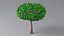 Cartoon Small Trees Collection