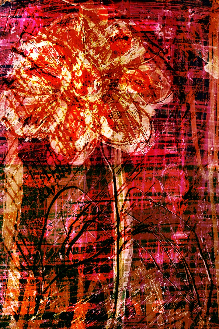 3d flower painting 35mm model https://p.turbosquid.com/ts-thumb/iH/utrygD/sH4xflbH/floweraz00006/jpg/1326558514/1920x1080/fit_q87/9342801c79b37b6c3b6d0f2096d6ae48a6672008/floweraz00006.jpg