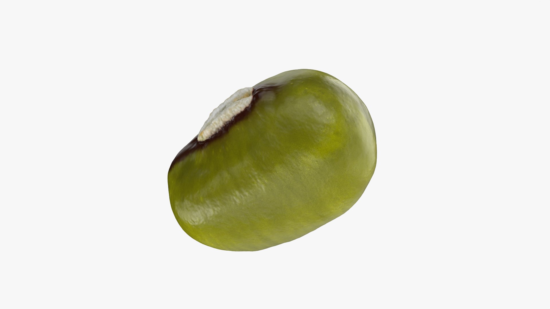 3D Mung Bean https://p.turbosquid.com/ts-thumb/iH/yLhlxQ/6N/mungbean_0004/png/1764938043/1920x1080/fit_q87/92ae37250798bd4aaa4c7b4f75caffa54604add5/mungbean_0004.jpg