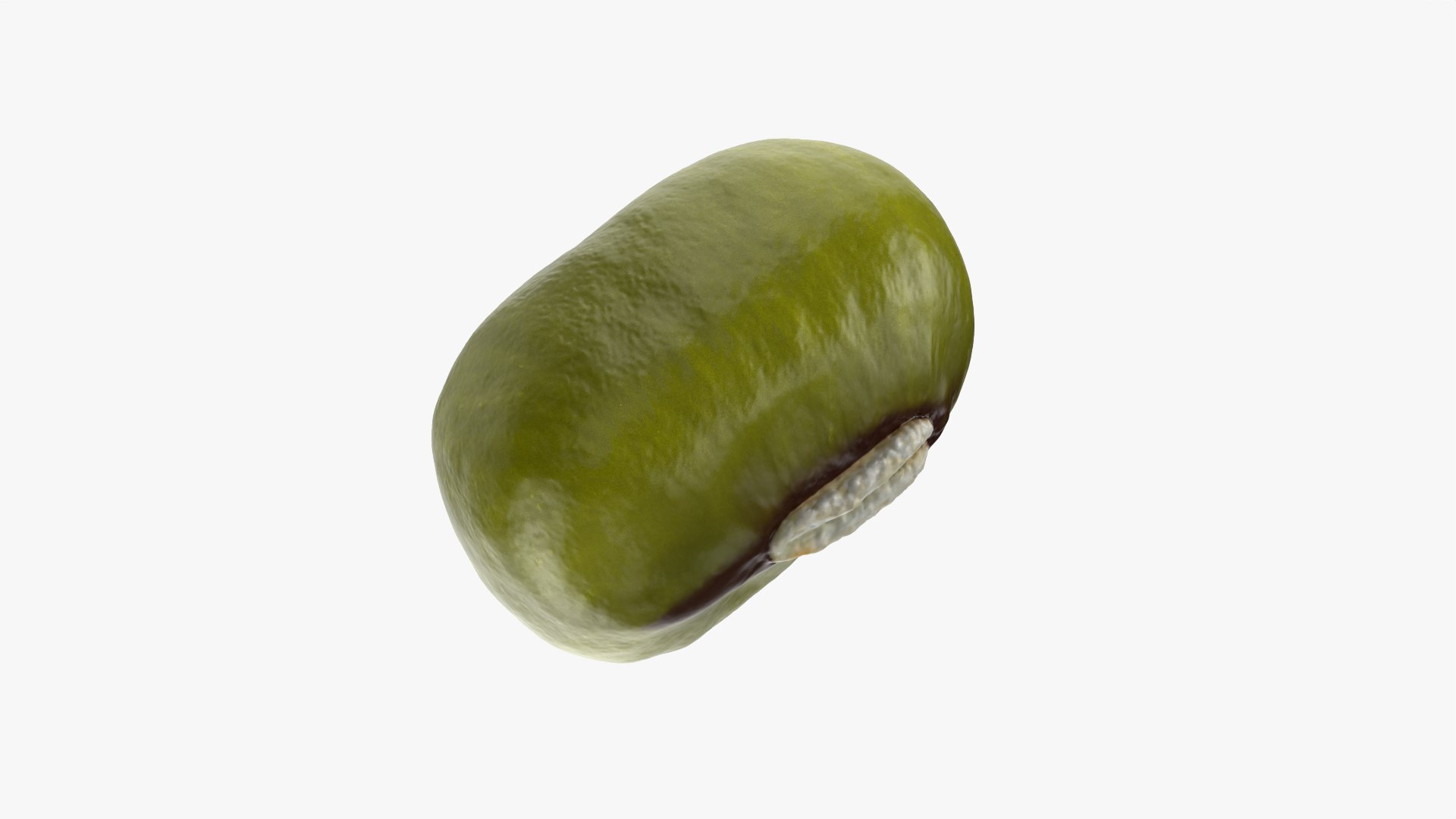 3D Mung Bean https://p.turbosquid.com/ts-thumb/iH/yLhlxQ/GR/mungbean_0002/png/1764938039/1920x1080/fit_q87/8dab28b0f285f25c7a5c588369fa9197b88cb50b/mungbean_0002.jpg