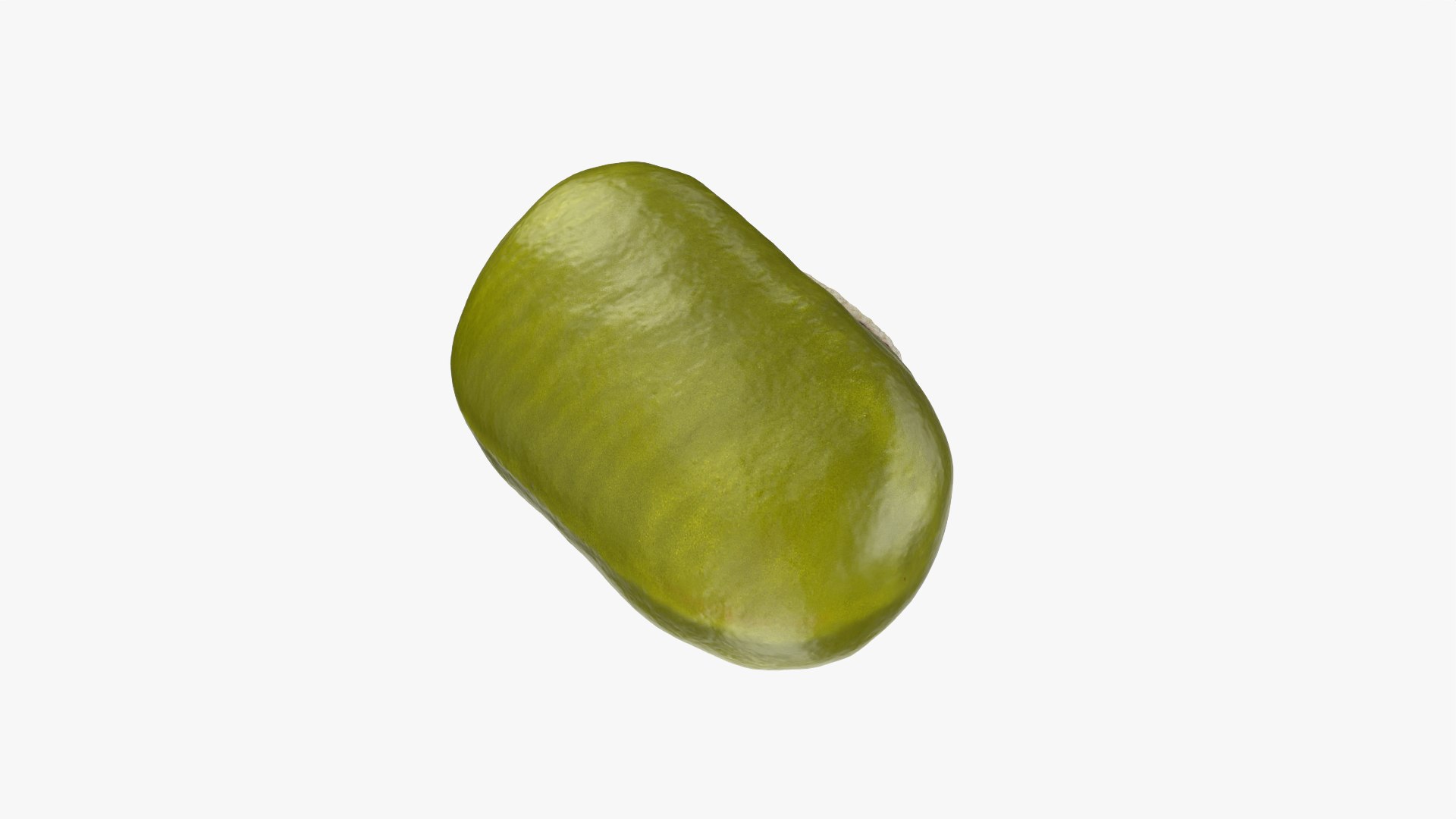 3D Mung Bean https://p.turbosquid.com/ts-thumb/iH/yLhlxQ/Gq/mungbean_0008/png/1764938047/1920x1080/fit_q87/a80bf886db9ae7f218a0f7a6b25b0e27f66b7f9e/mungbean_0008.jpg