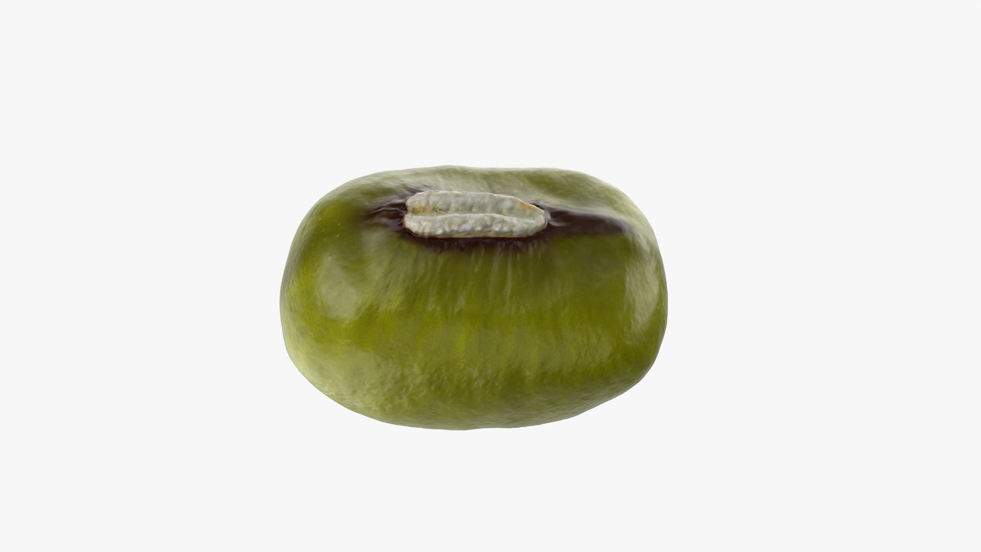 3D Mung Bean https://p.turbosquid.com/ts-thumb/iH/yLhlxQ/Ml/mungbean_0010/png/1764938050/1920x1080/fit_q87/654d554d42e12ecfefe52210e81a58fa927bcf48/mungbean_0010.jpg