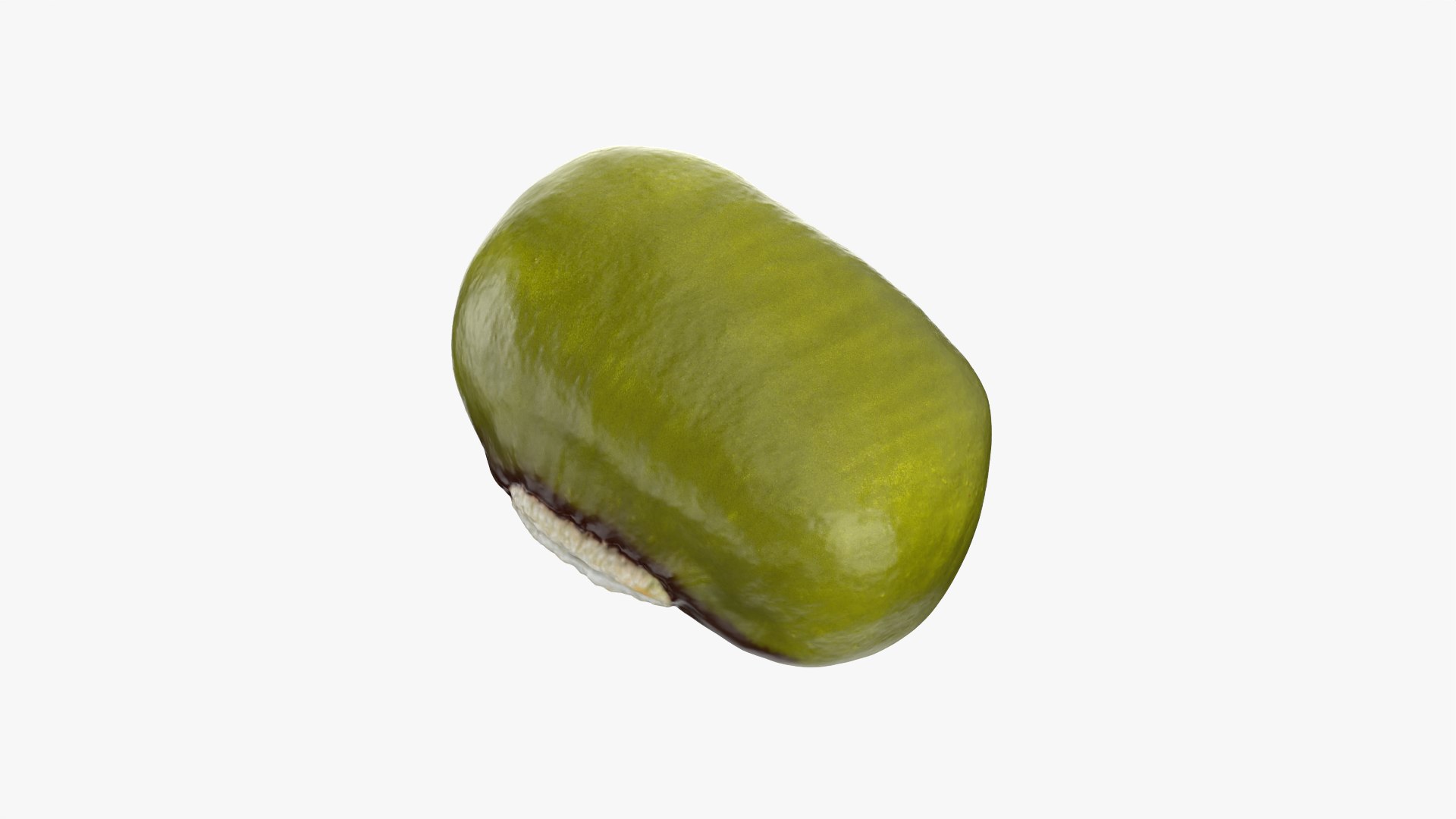 3D Mung Bean https://p.turbosquid.com/ts-thumb/iH/yLhlxQ/O7/mungbean_0003/png/1764938040/1920x1080/fit_q87/c584ede80c46c52cf67af880a210bfa8cf971b7c/mungbean_0003.jpg
