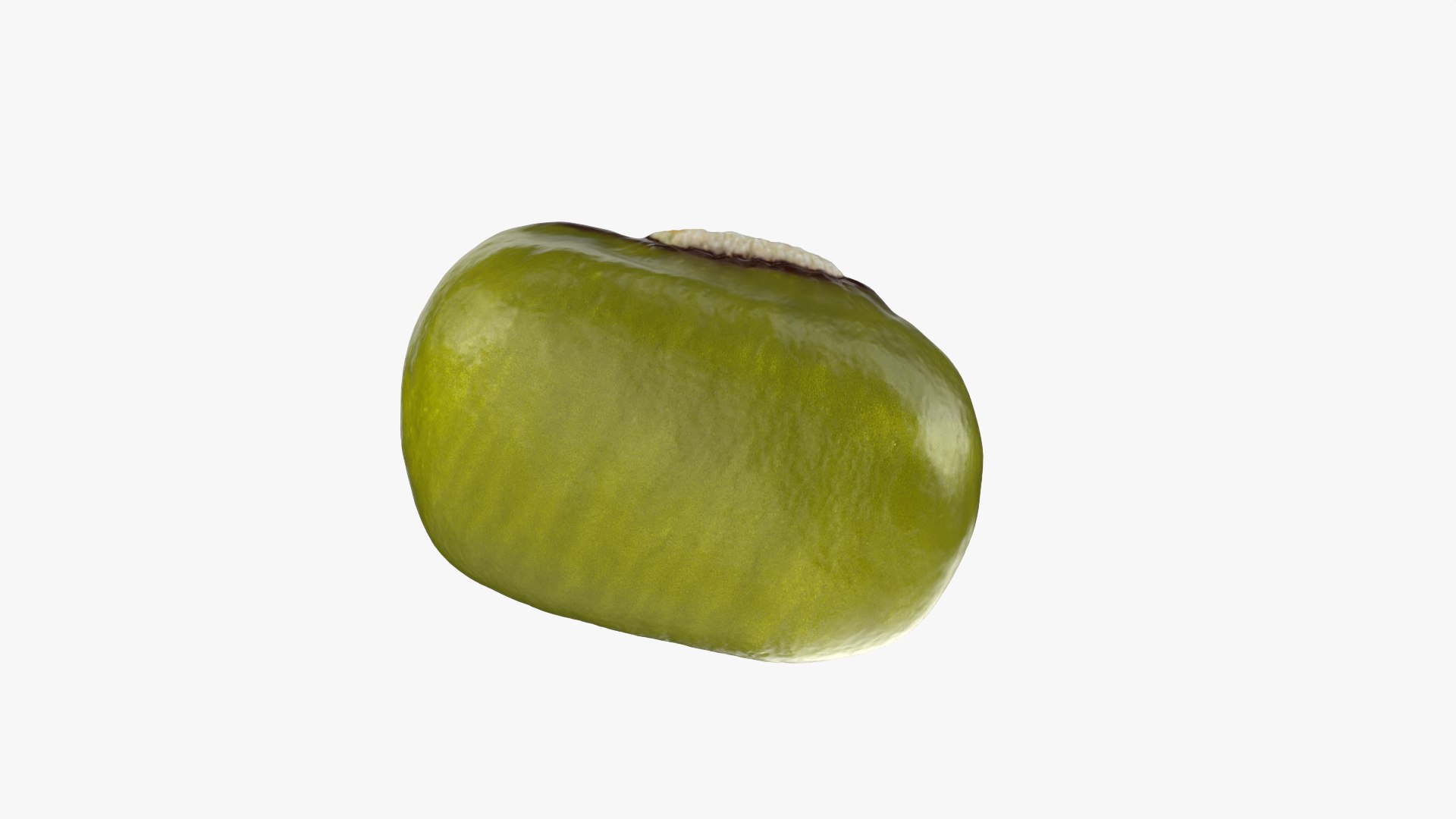3D Mung Bean https://p.turbosquid.com/ts-thumb/iH/yLhlxQ/Vn/mungbean_0009/png/1764938048/1920x1080/fit_q87/eab30b1d79f5bd9a4cdcde7026a3e17a8e7e0ab5/mungbean_0009.jpg